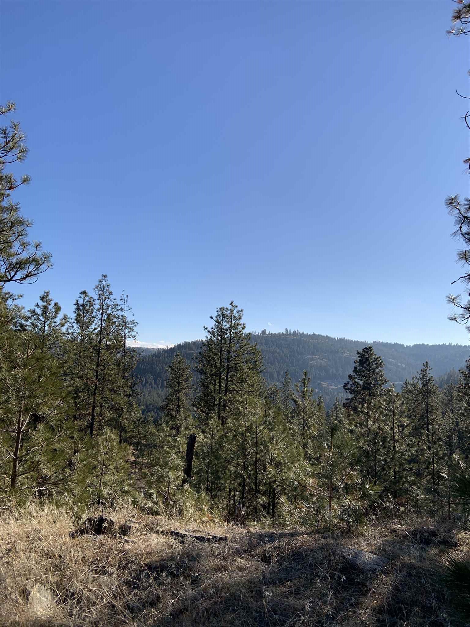 Lot 1 Blue Jay Bob White Ln - Photo 5