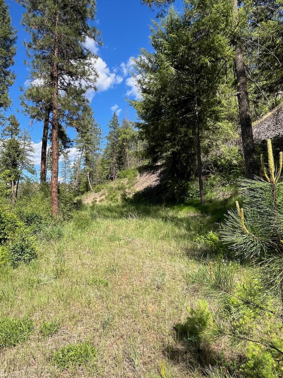 Lot 1 Blue Jay Bob White Ln - Photo 8