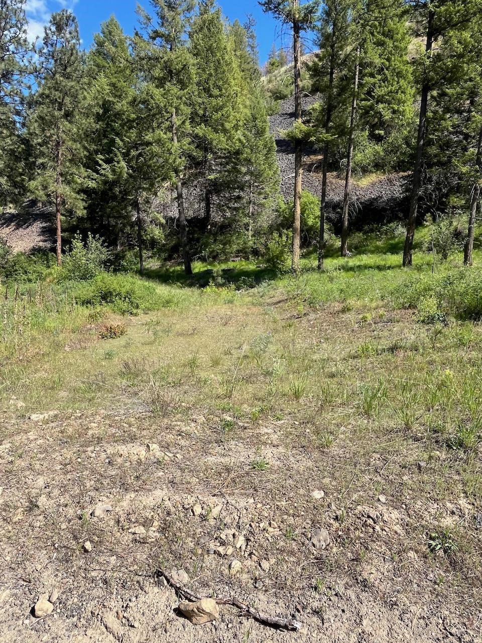 Lot 1 Blue Jay Bob White Ln - Photo 9