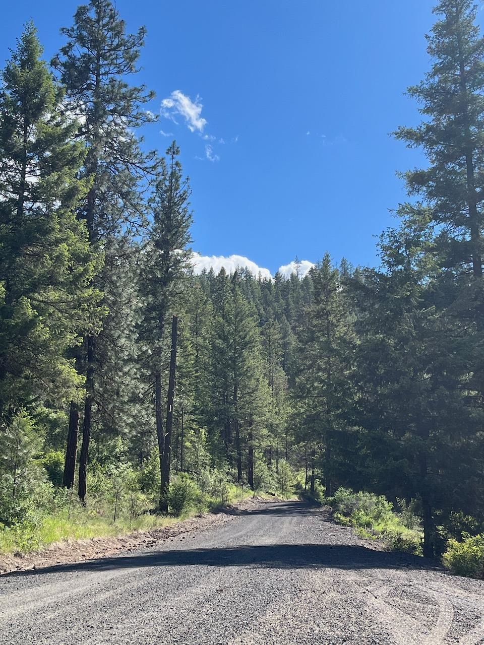 Lot 1 Blue Jay Bob White Ln - Photo 10