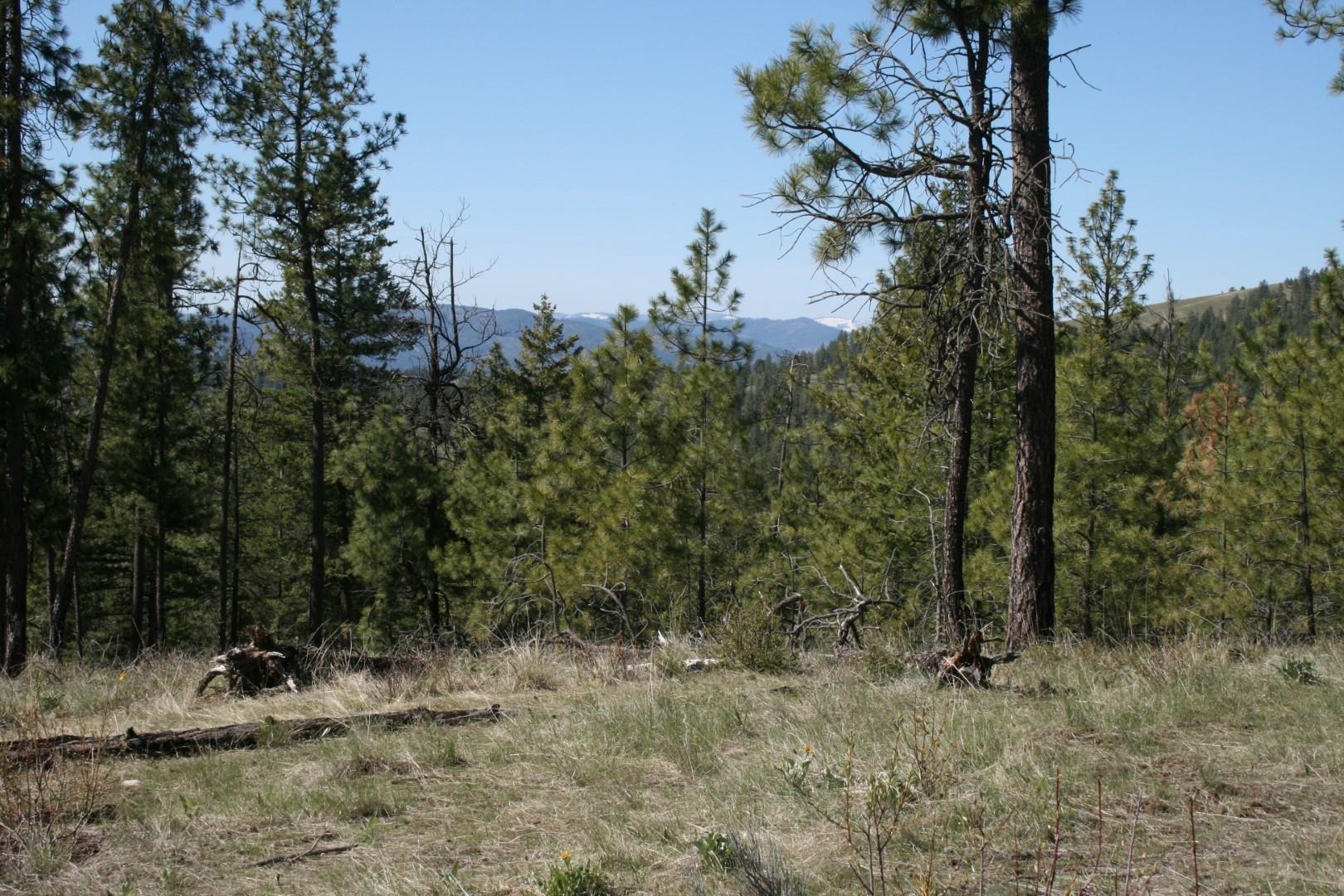 xx Coyote Canyon Rd - Photo 1