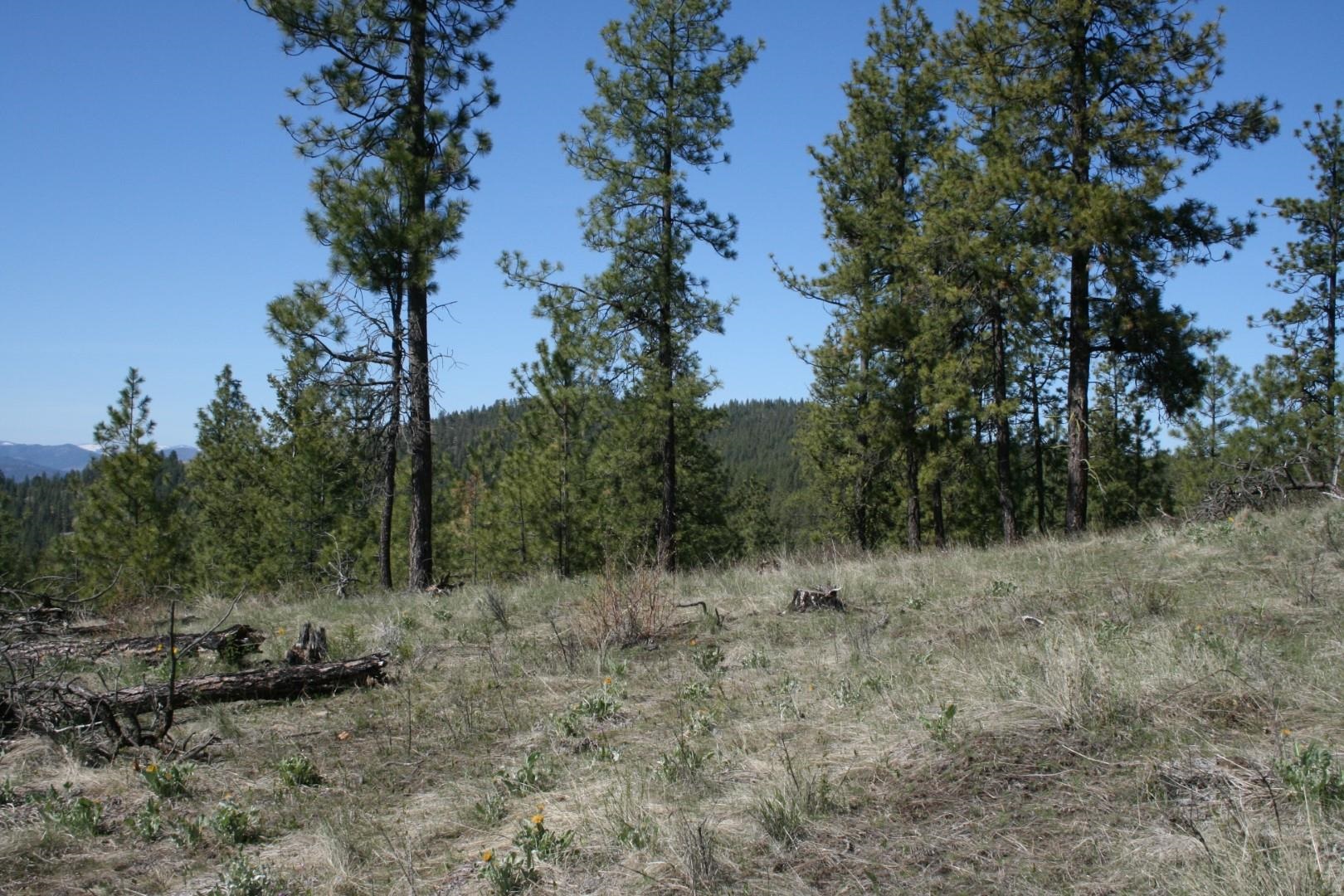 xx Coyote Canyon Rd - Photo 2
