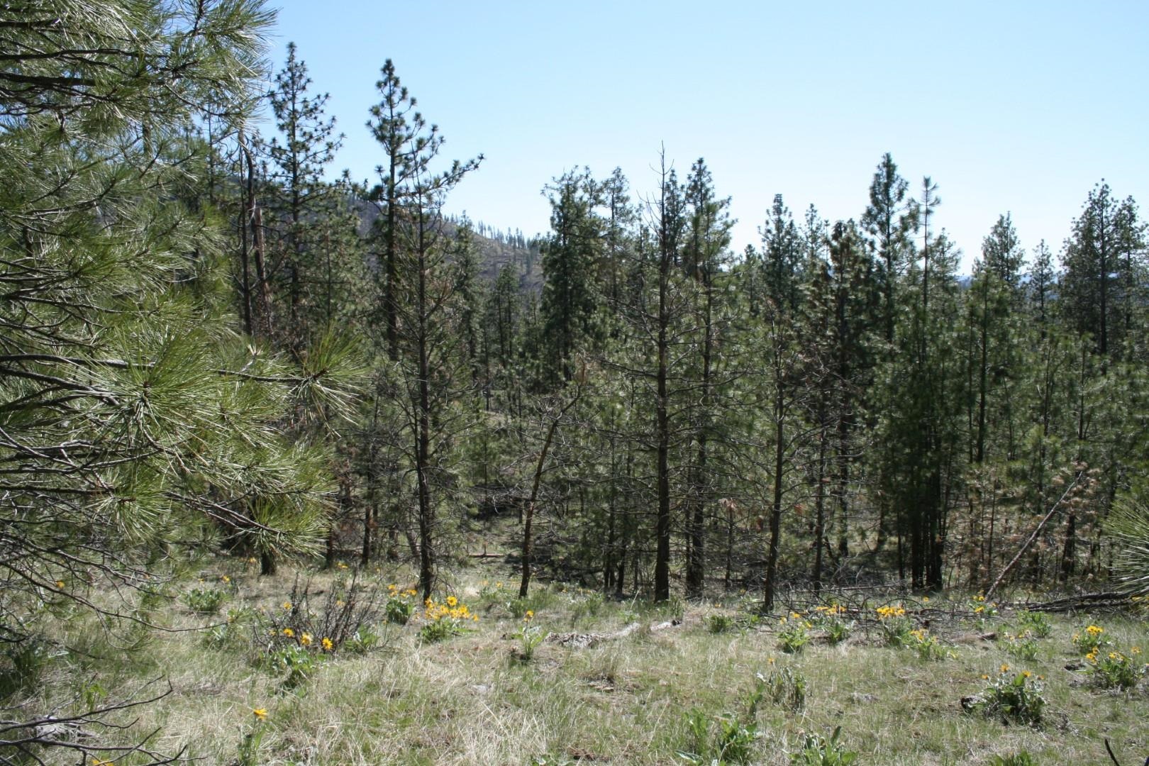 xx Coyote Canyon Rd - Photo 3