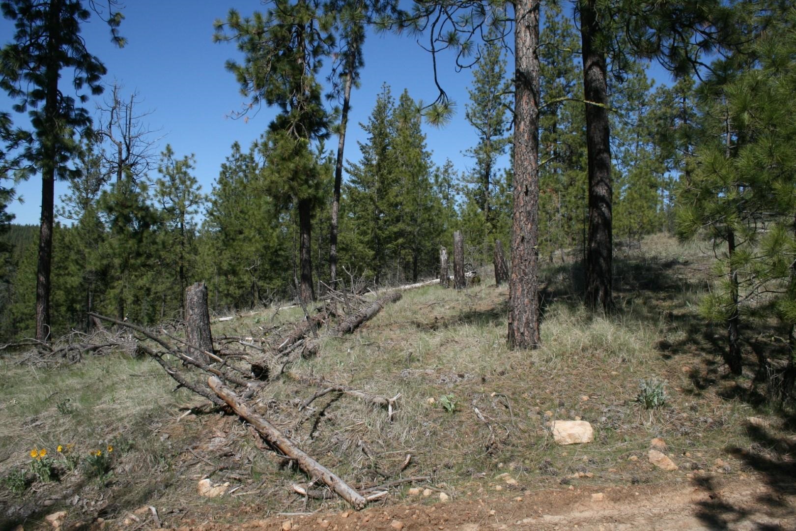 xx Coyote Canyon Rd - Photo 4