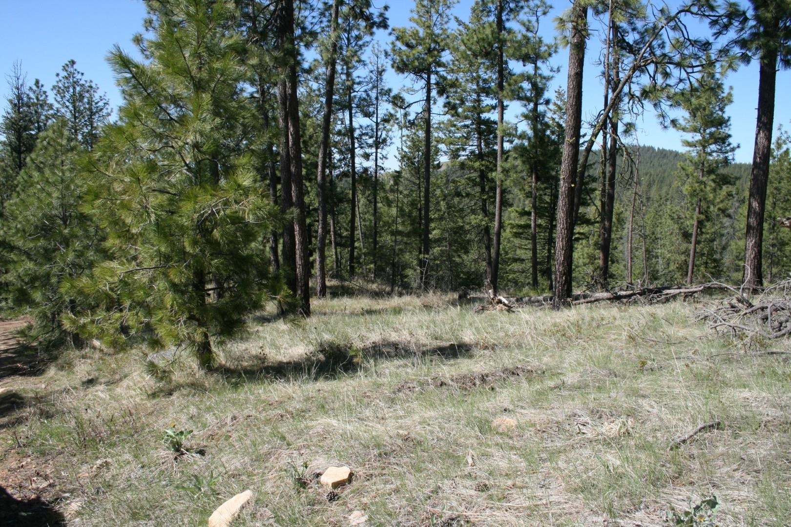 xx Coyote Canyon Rd - Photo 5