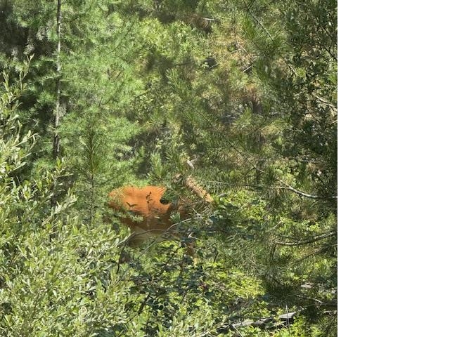 XXXX Allen Rd - Photo 9