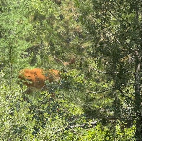 XXXX Allen Rd - Photo 10