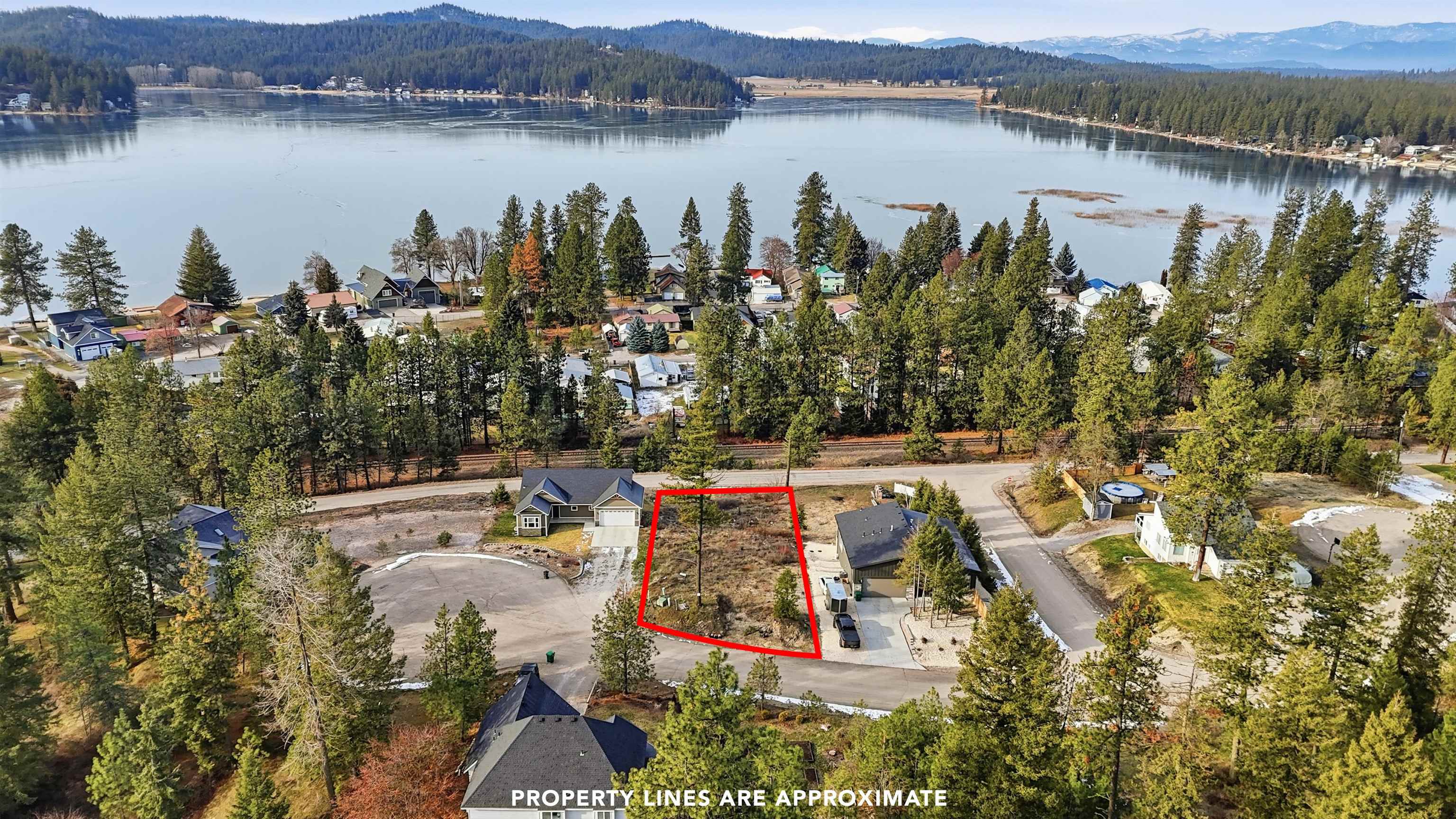 40004 Loon Lake Ct - Photo 1