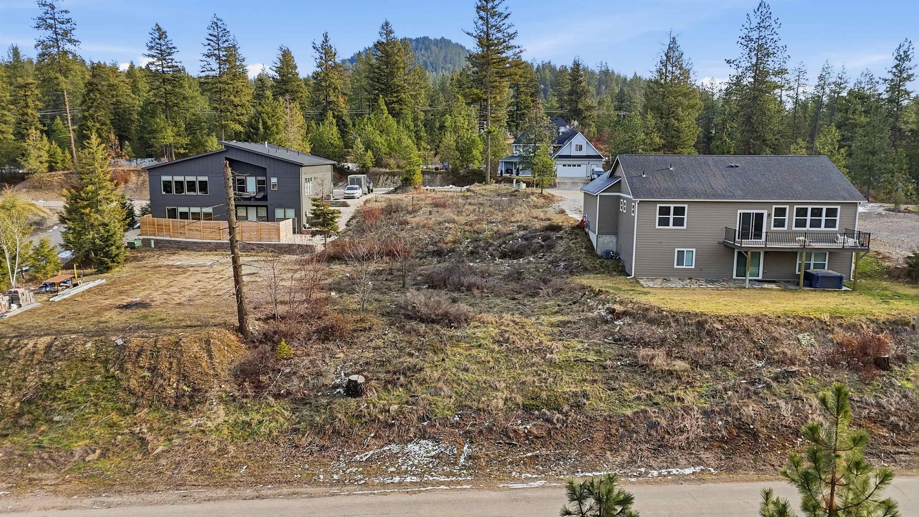 40004 Loon Lake Ct - Photo 2