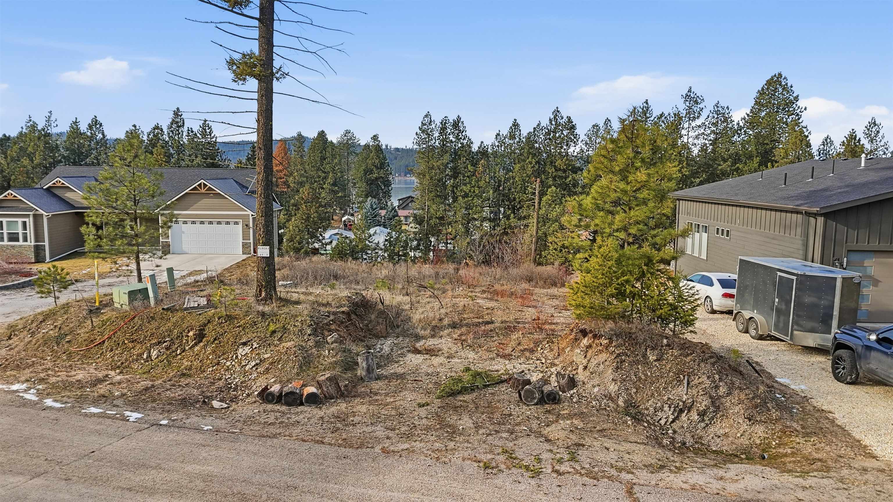 40004 Loon Lake Ct - Photo 3