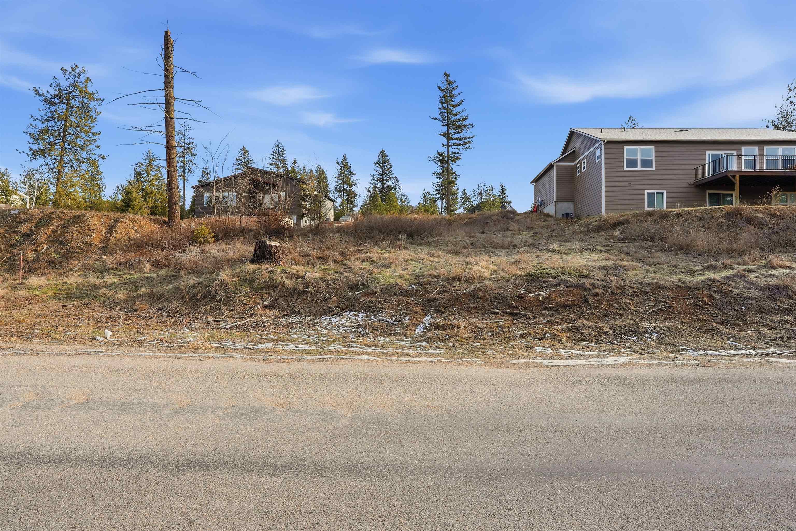 40004 Loon Lake Ct - Photo 4