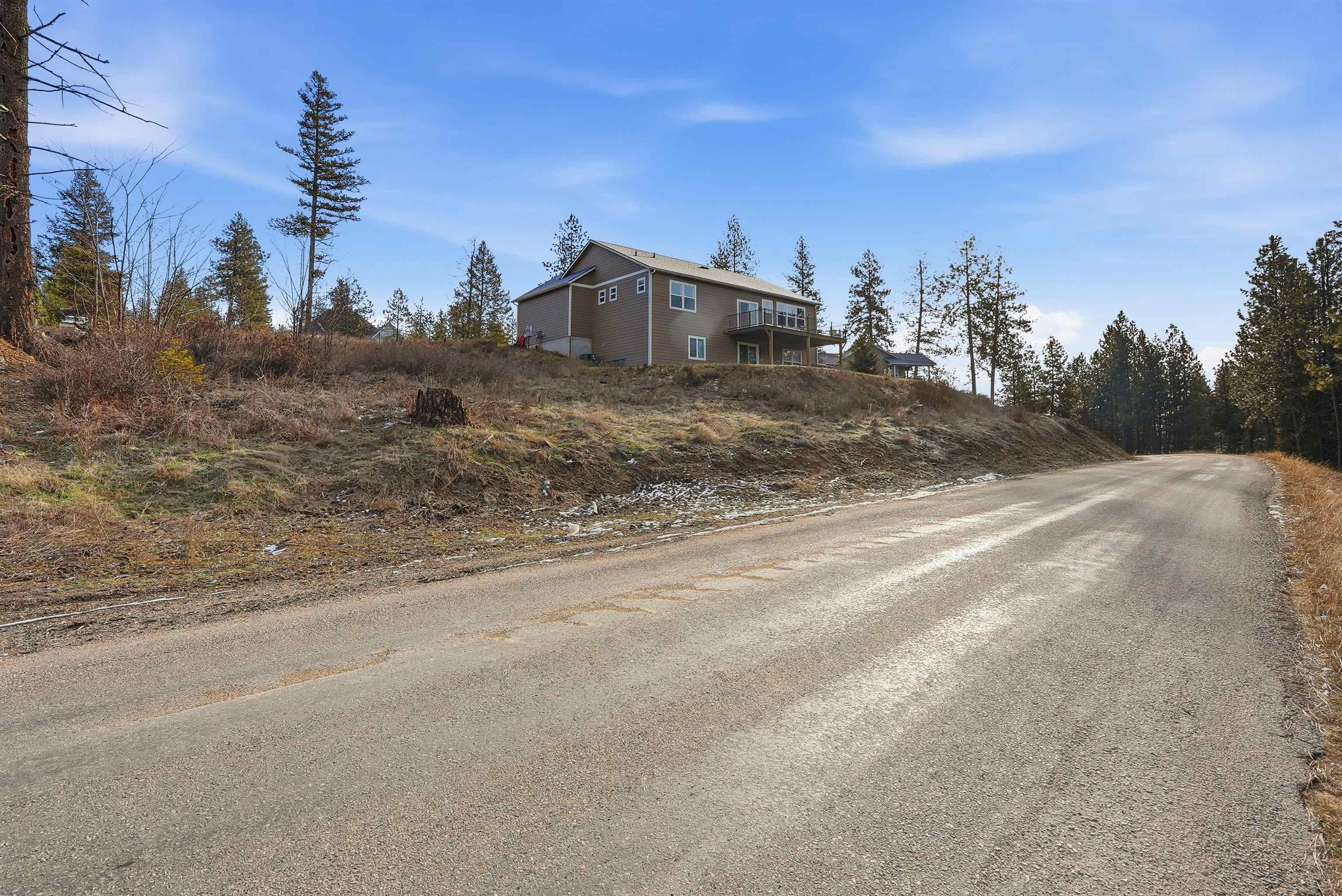40004 Loon Lake Ct - Photo 5