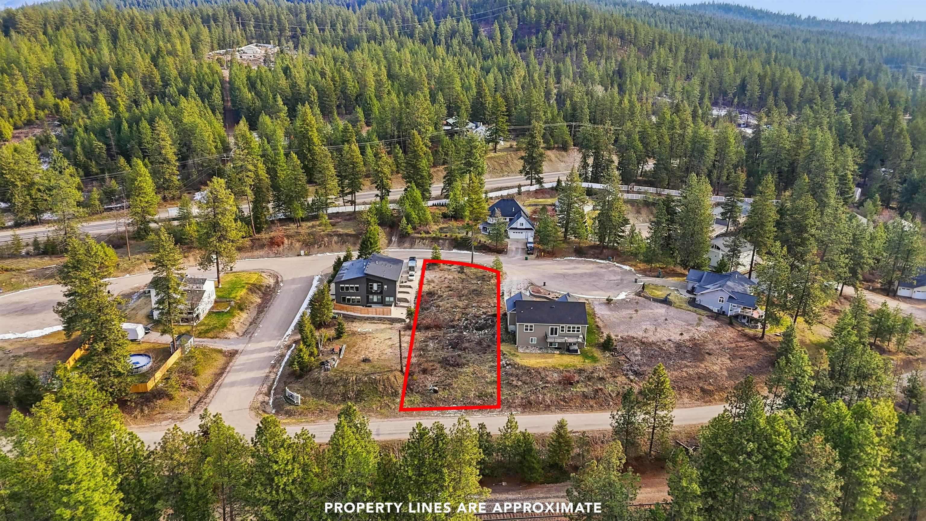 40004 Loon Lake Ct - Photo 6