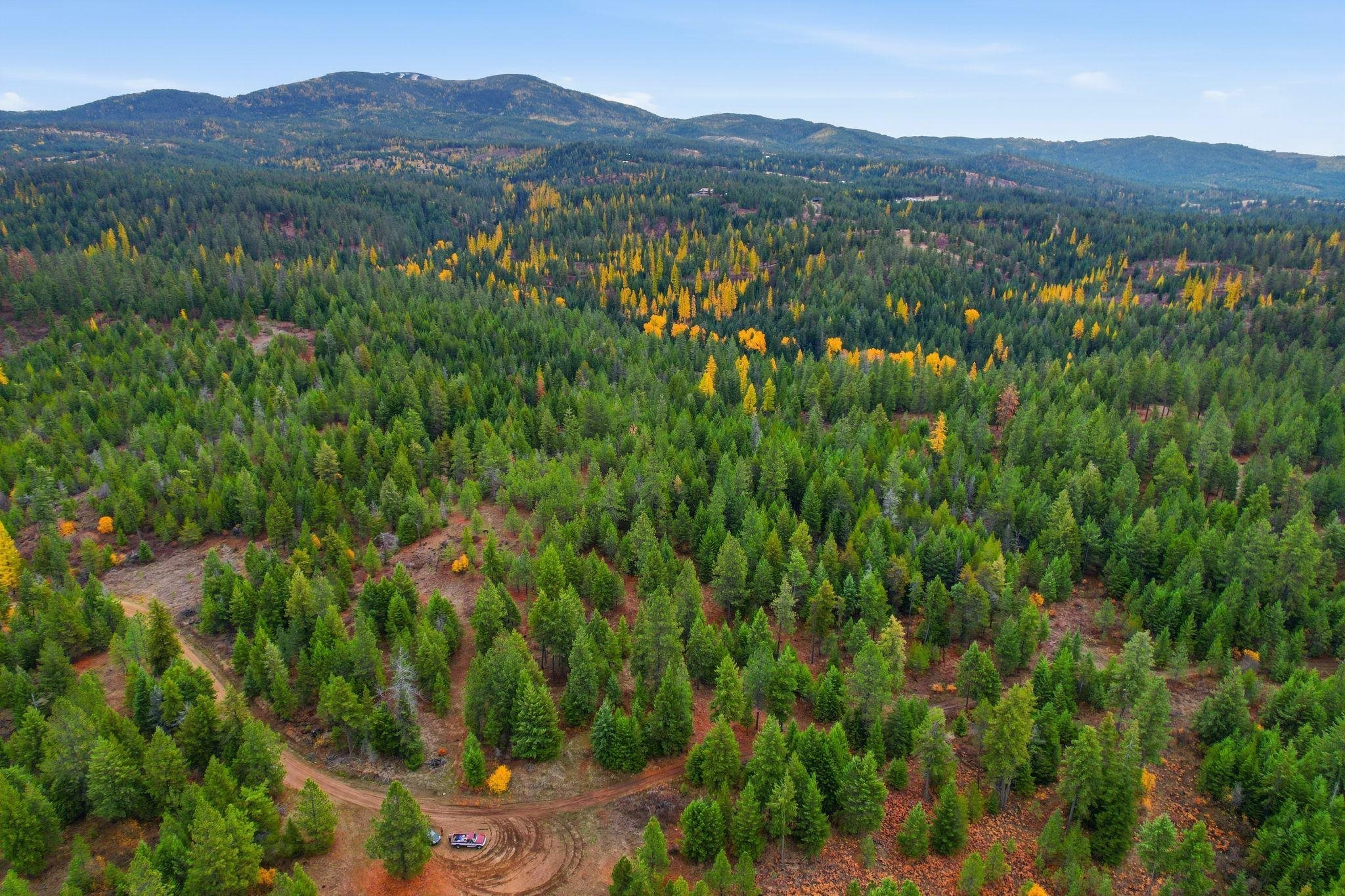 48094.9045 000 Unknown Rd - Photo 11