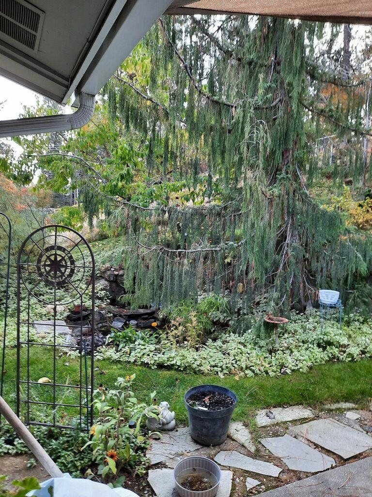 3912 S Sundown Dr - Photo 37