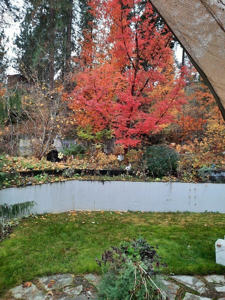 3912 S Sundown Dr - Photo 38