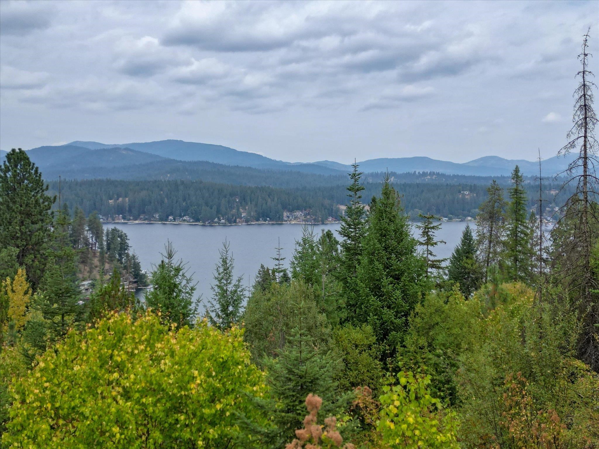 11641 W Newman Lake Dr - Photo 42