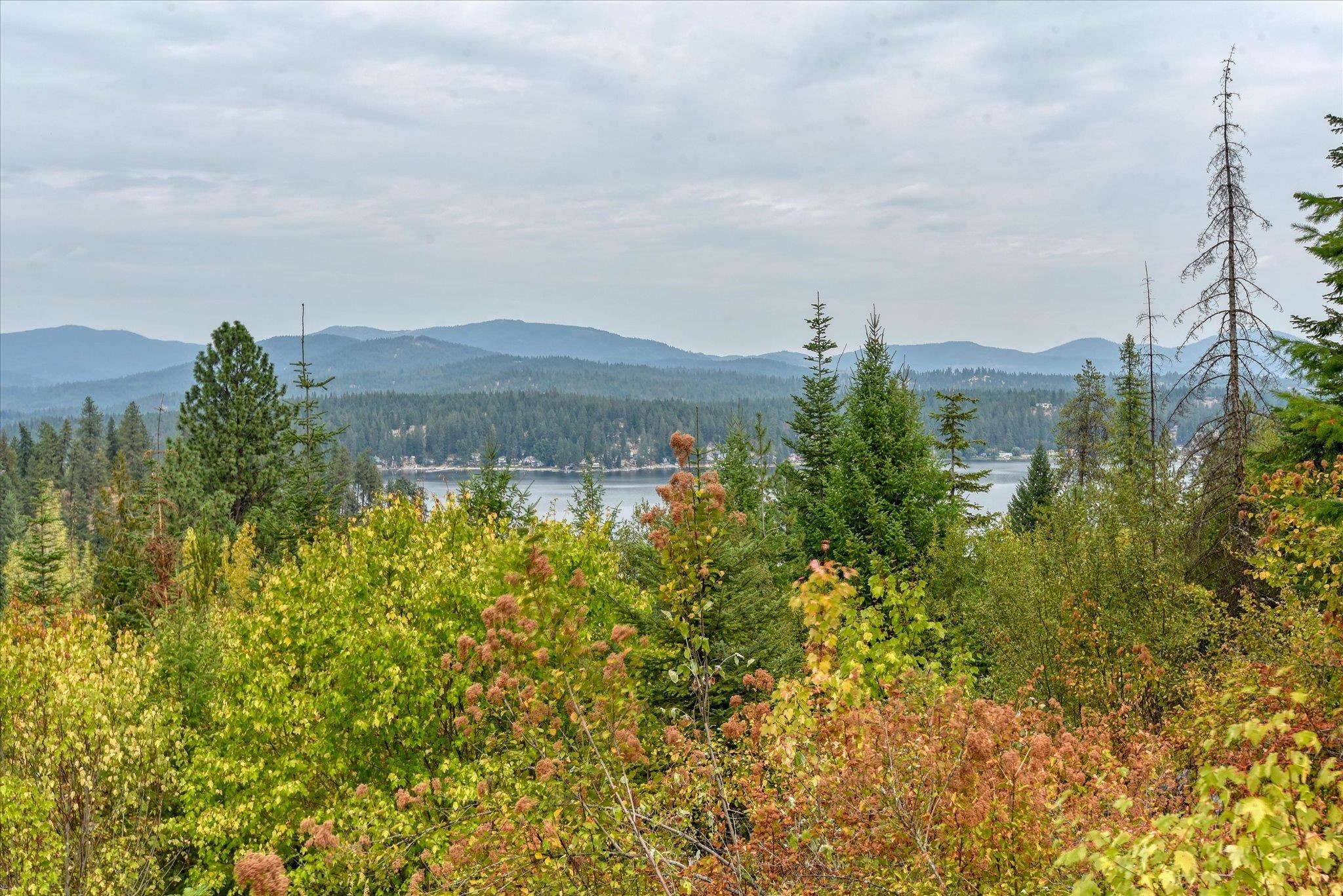 11641 W Newman Lake Dr - Photo 44