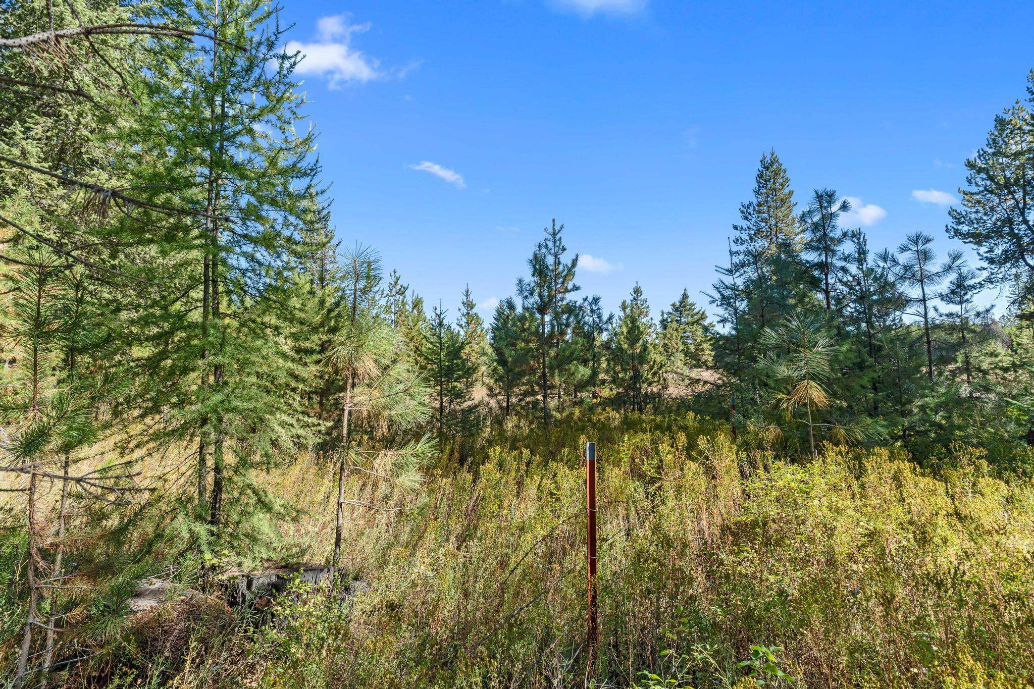 NKA Pines Rd - Photo 2