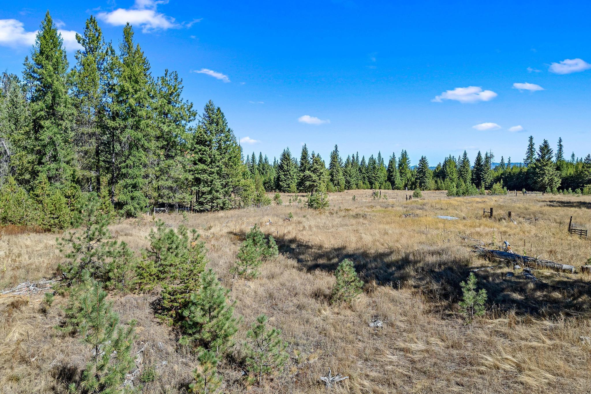 NKA Pines Rd - Photo 11
