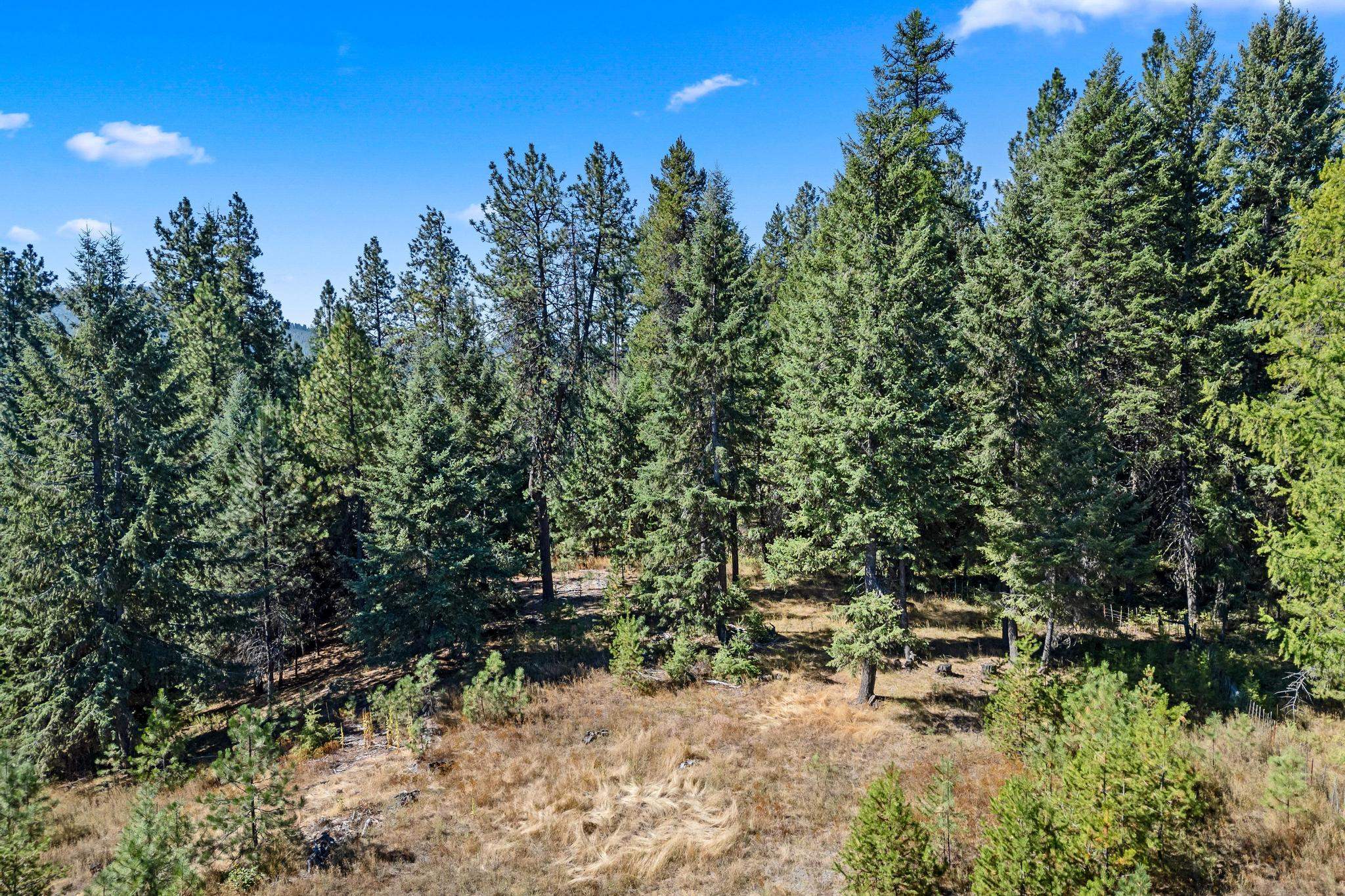 NKA Pines Rd - Photo 12