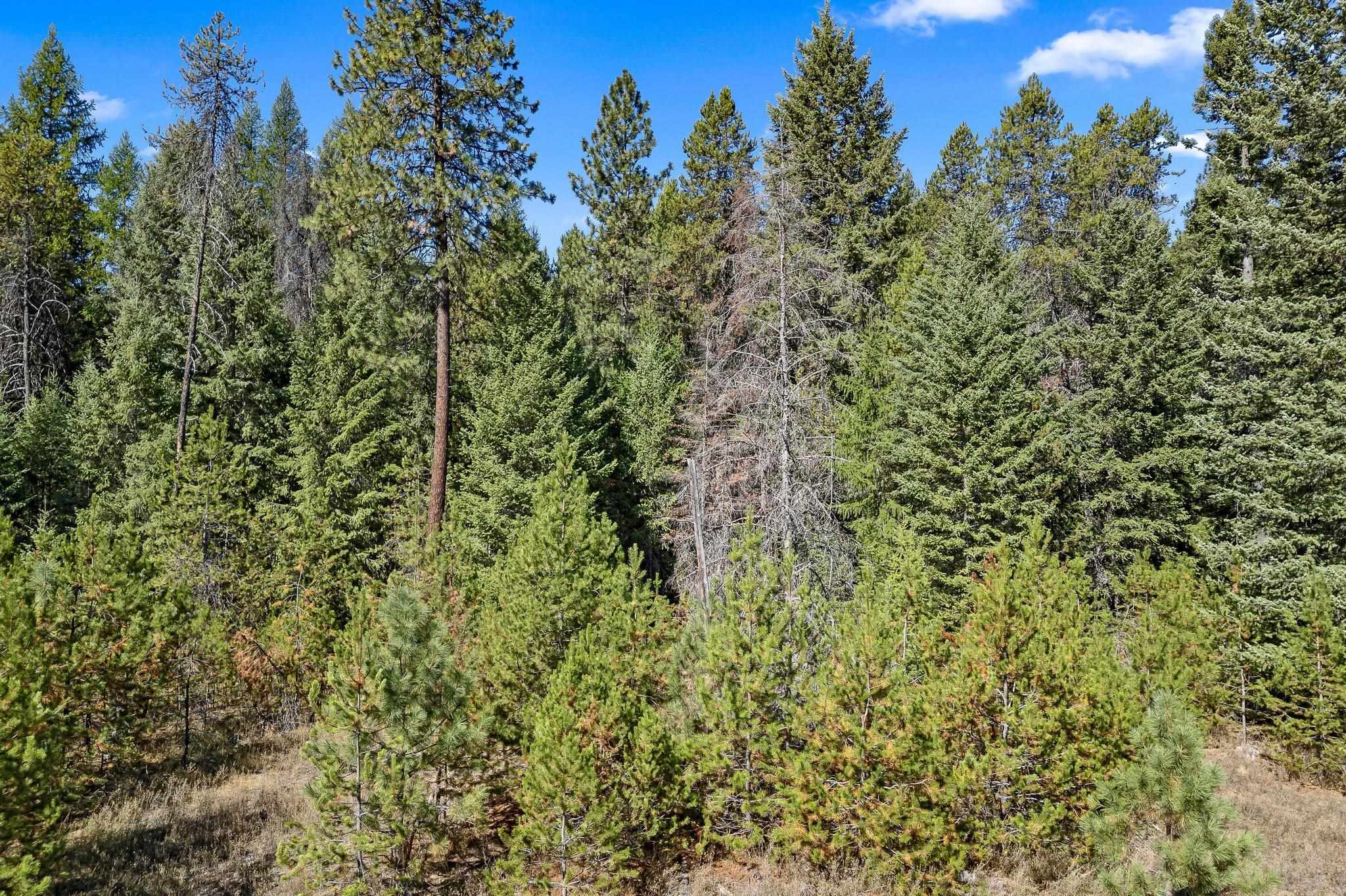 NKA Pines Rd - Photo 14