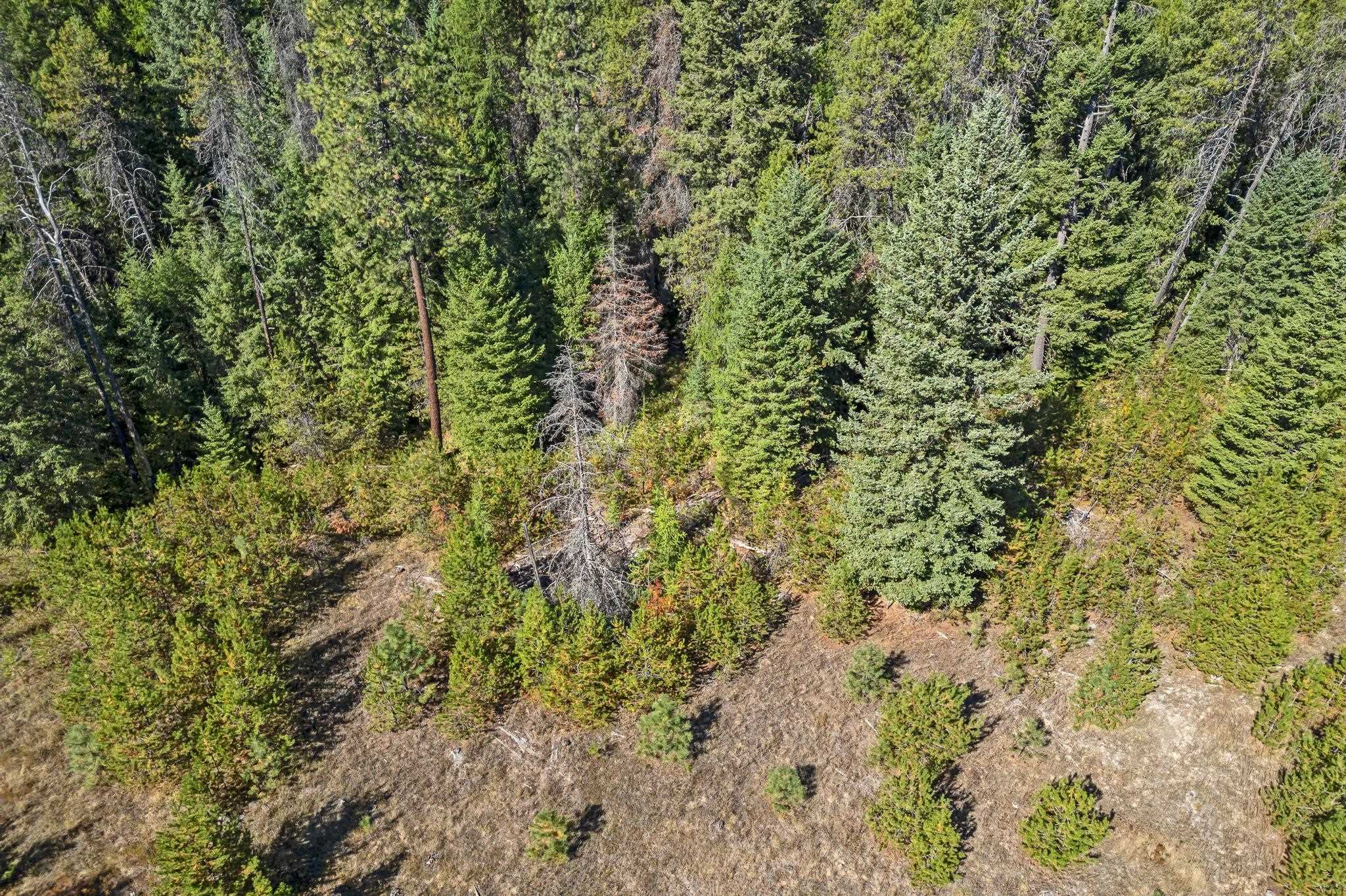 NKA Pines Rd - Photo 15