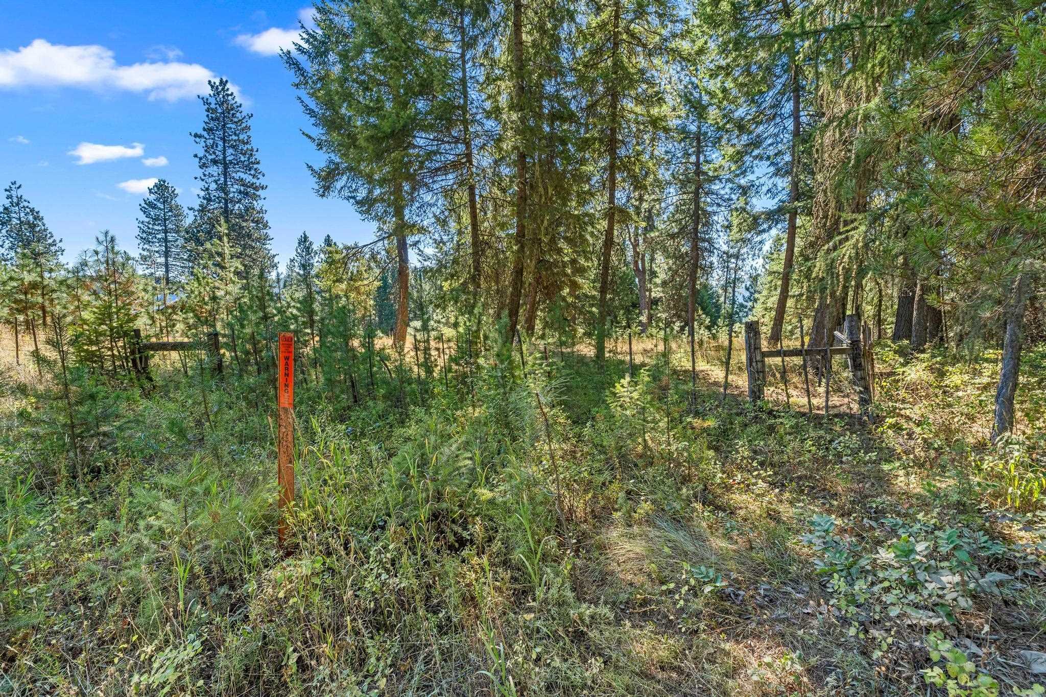 NKA Pines Rd - Photo 16