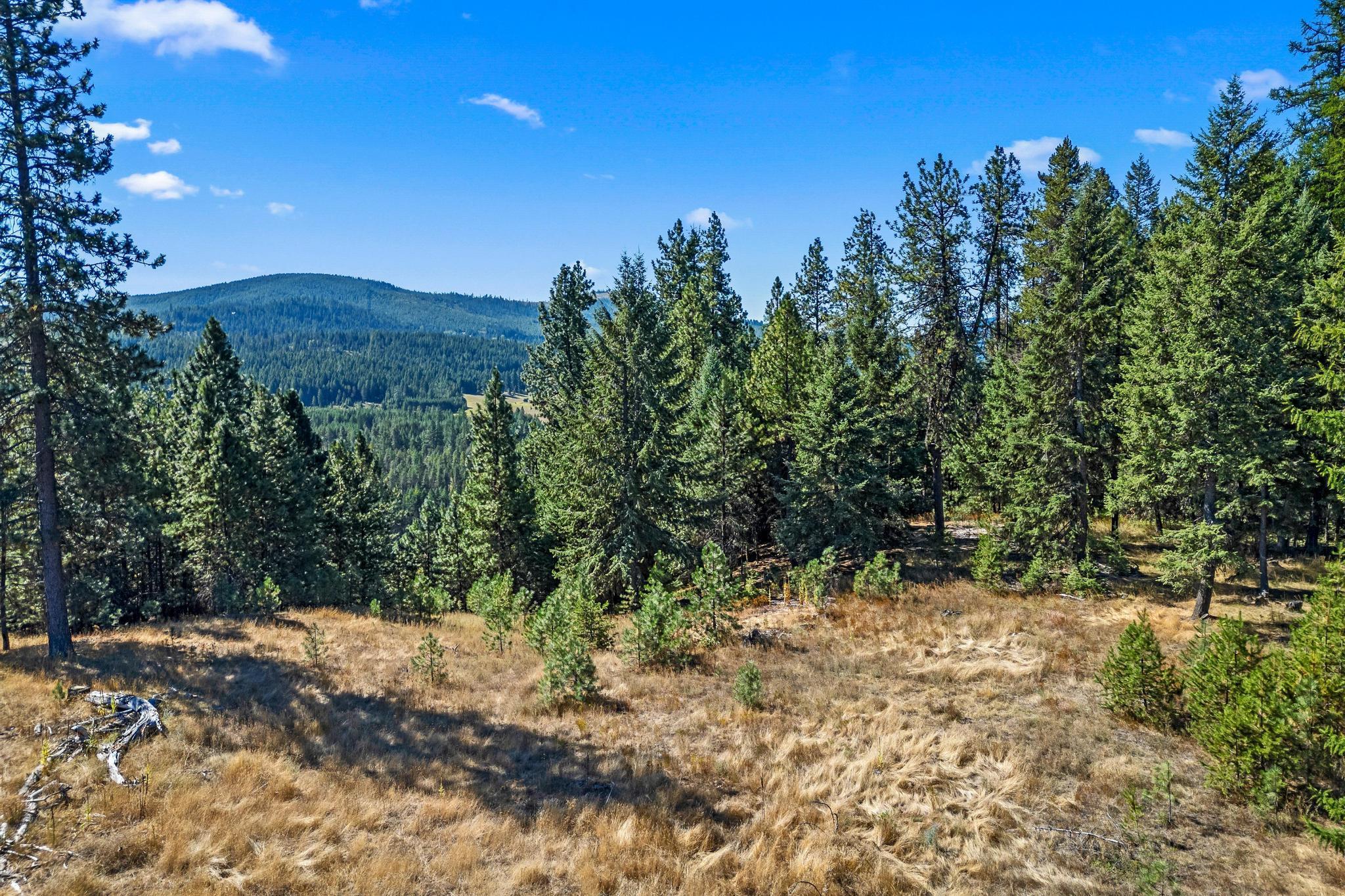 NKA Pines Rd - Photo 3