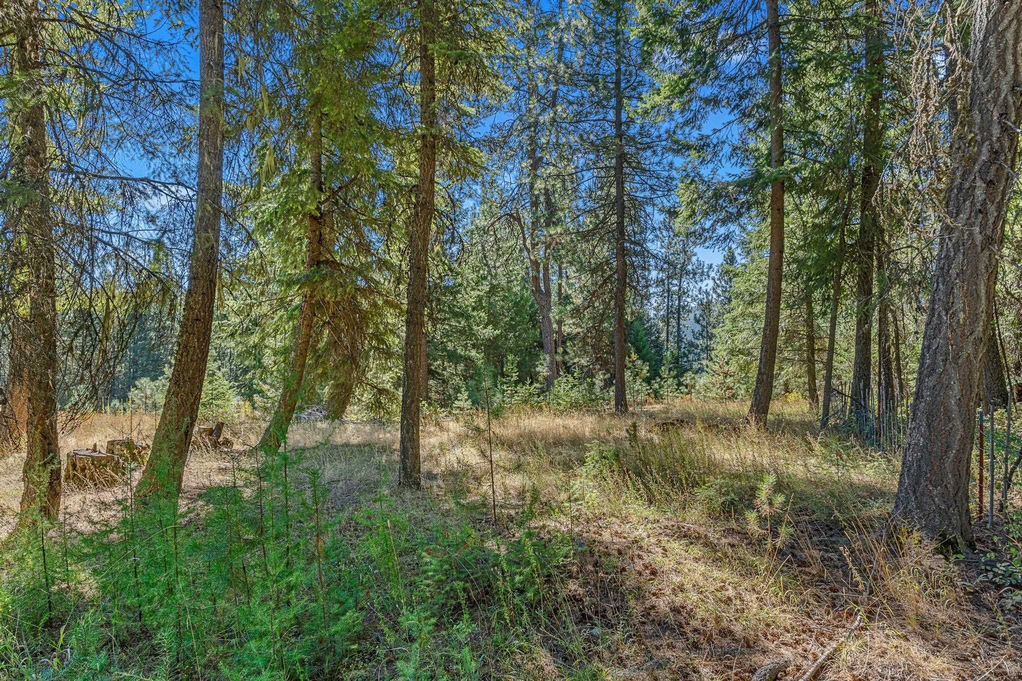 NKA Pines Rd - Photo 23