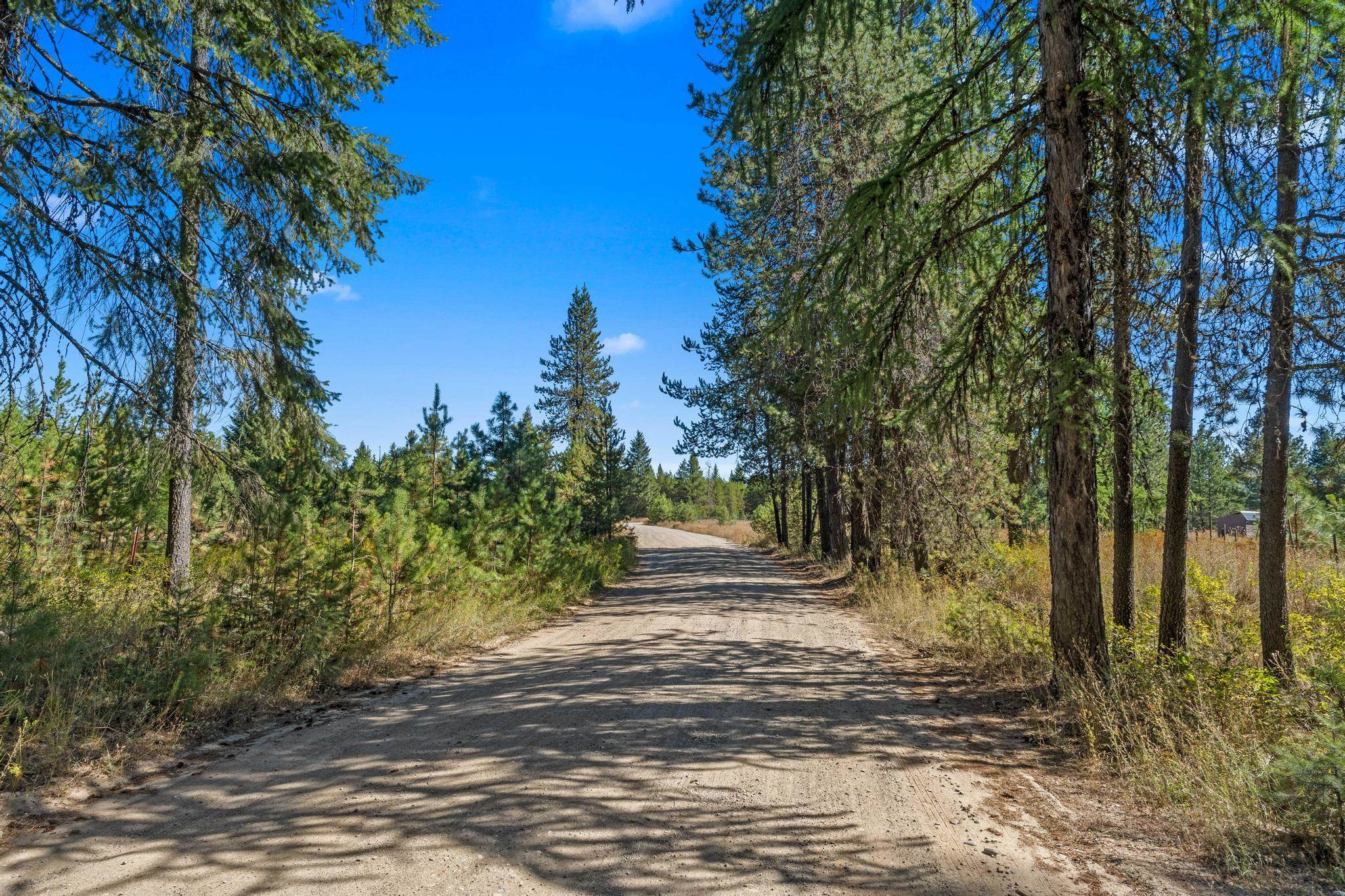 NKA Pines Rd - Photo 24