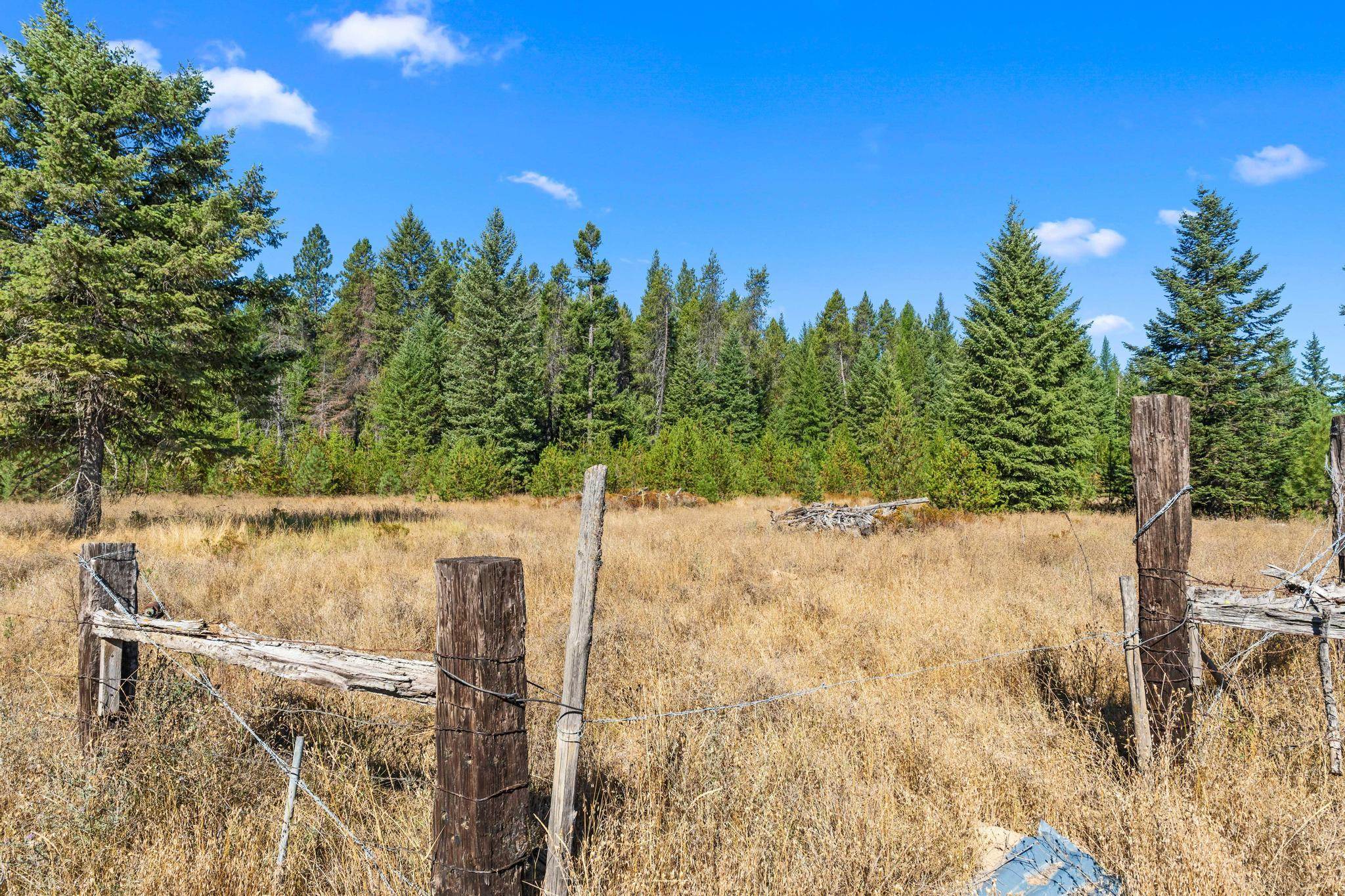 NKA Pines Rd - Photo 4