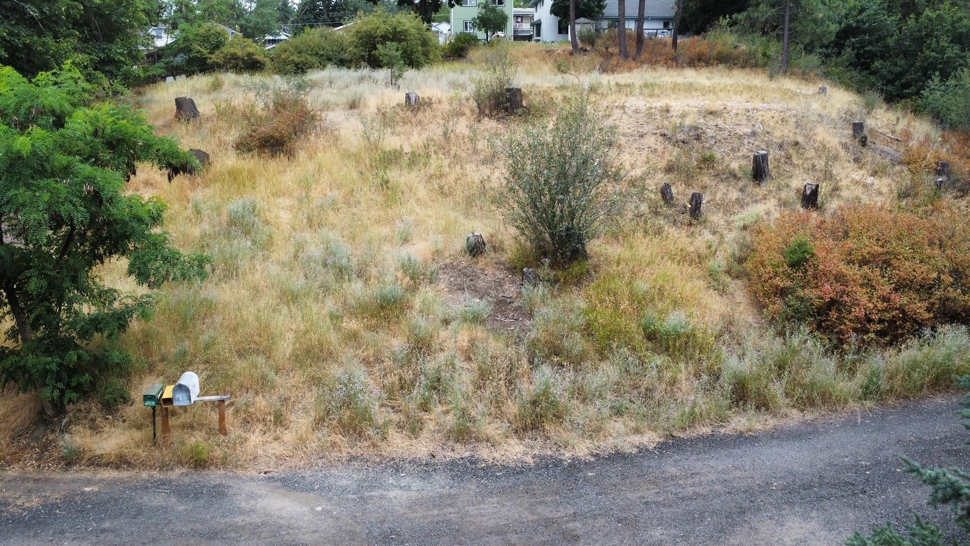 3521 W Pacific Ave - Photo 7