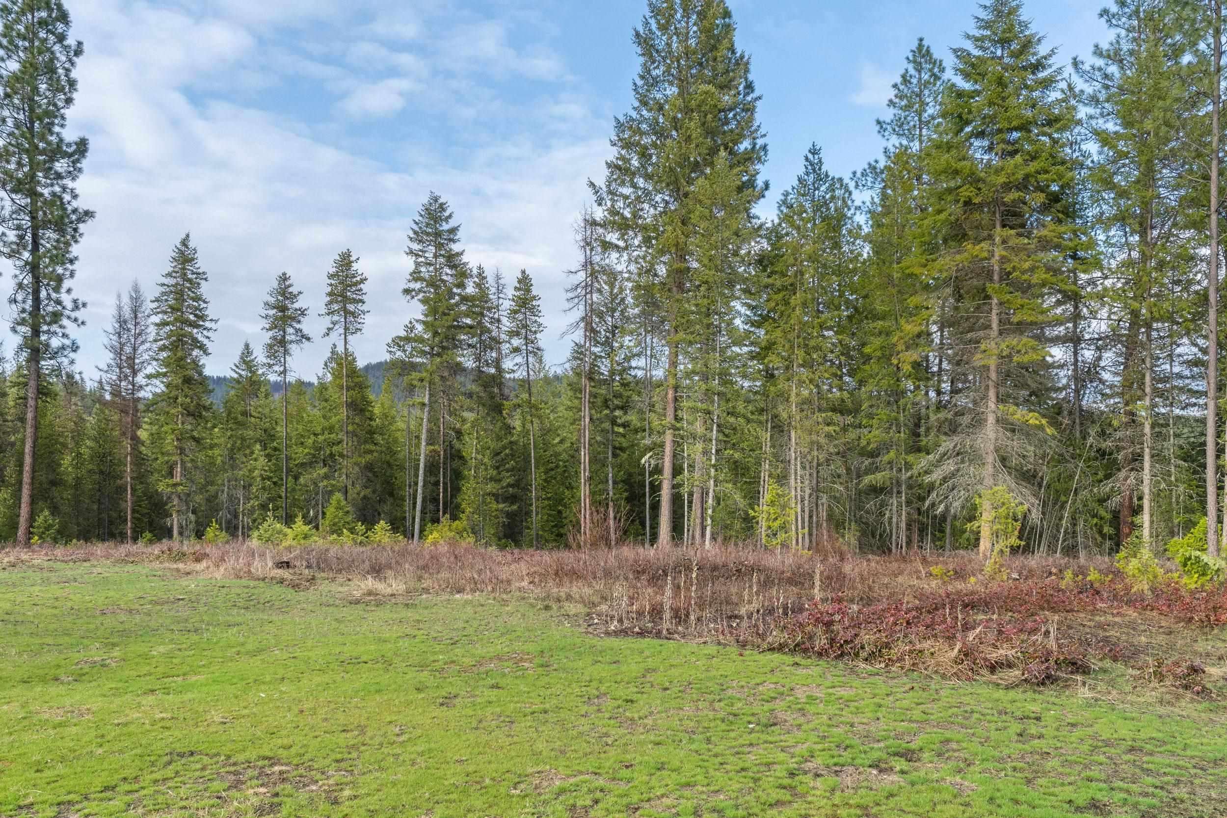 3714 Sand Creek Rd - Photo 31