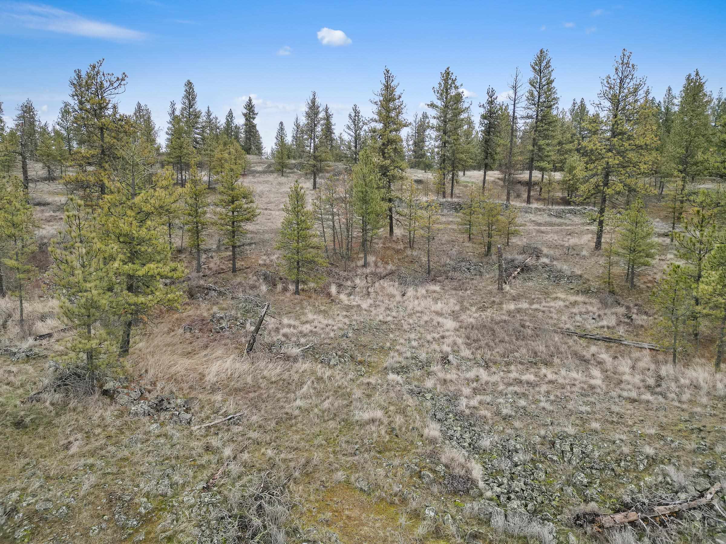 NKA W Cheney Plaza Rd - Photo 13