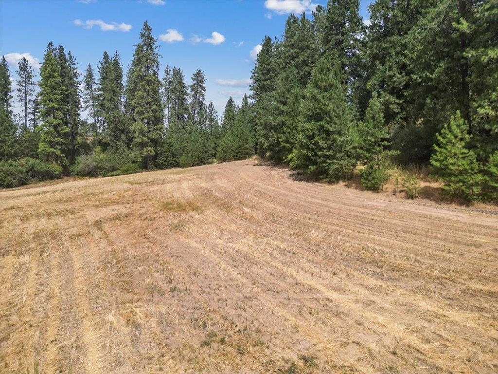NKA Argonne-Bigelow Gulch Rd - Photo 14