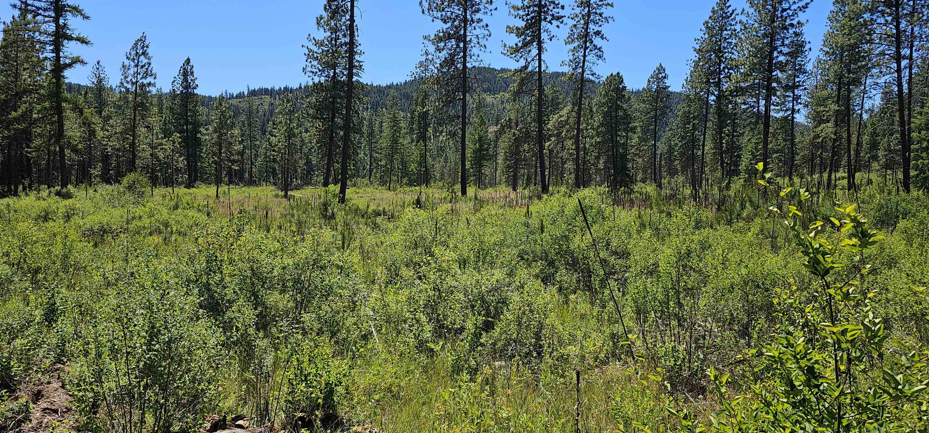 20X Lynx Rd - Photo 2