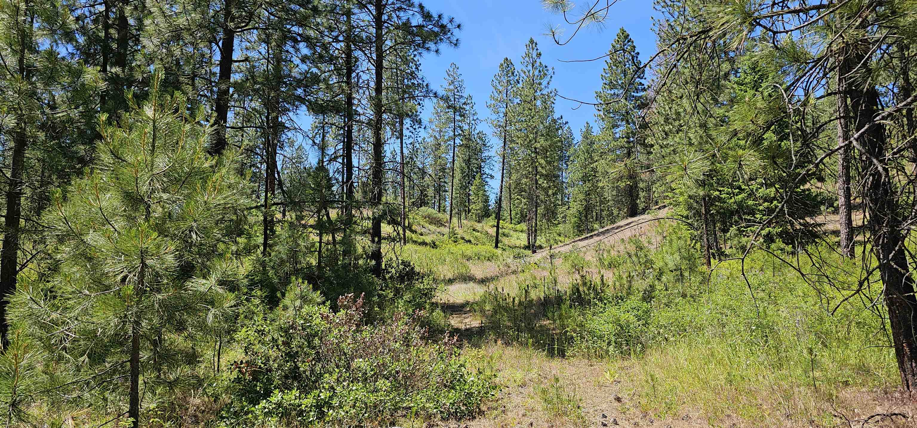 20X Lynx Rd - Photo 11