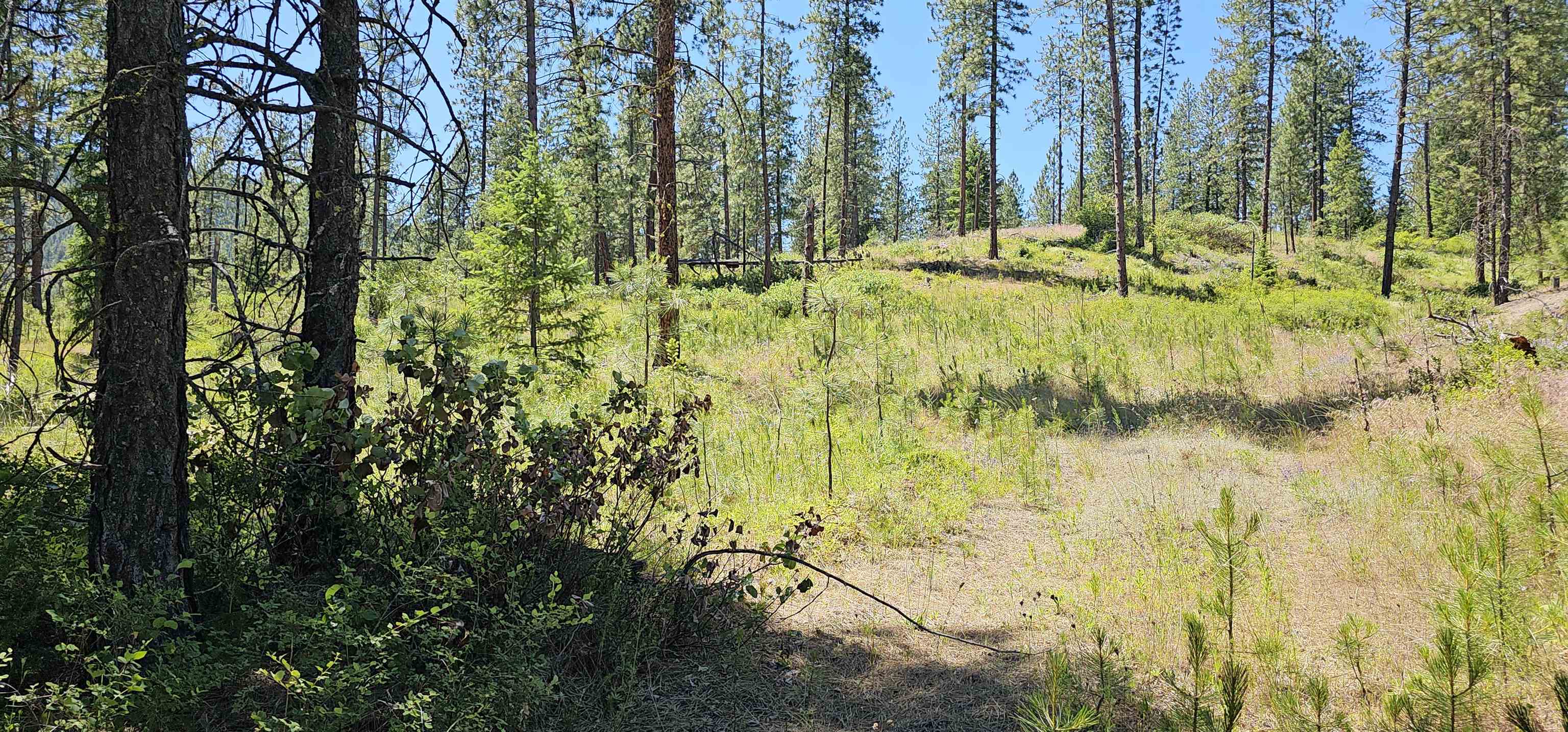 20X Lynx Rd - Photo 12