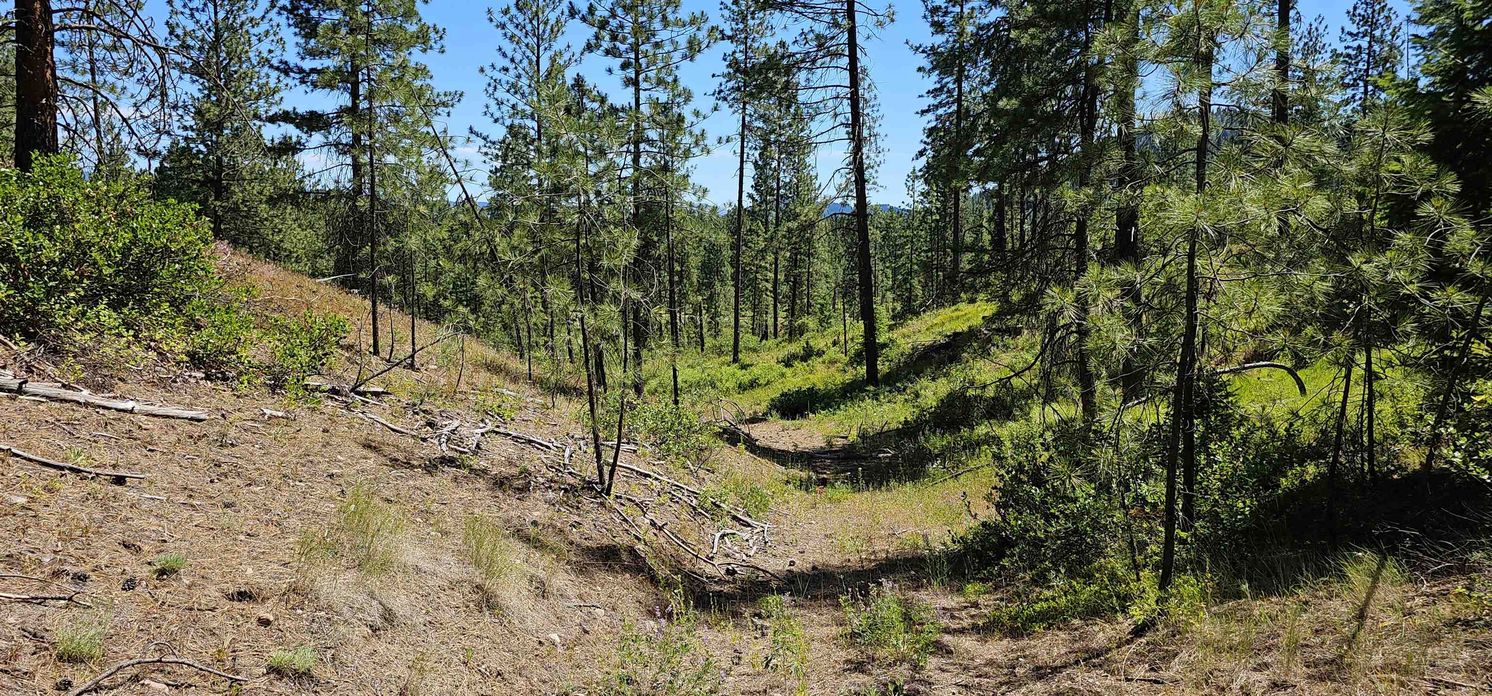 20X Lynx Rd - Photo 13