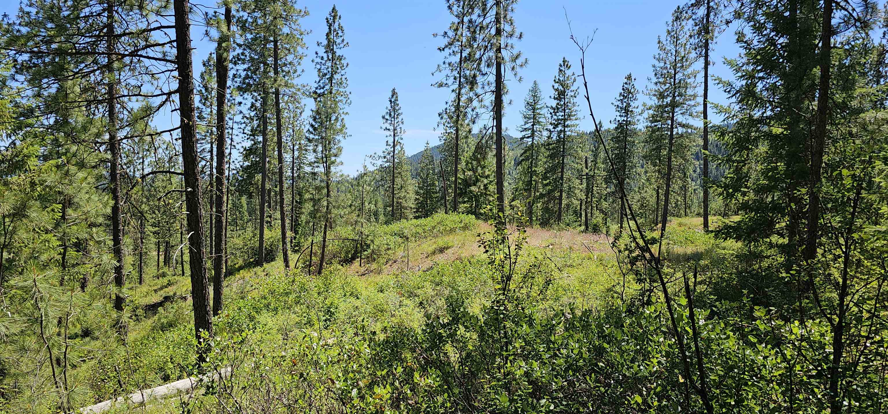 20X Lynx Rd - Photo 14
