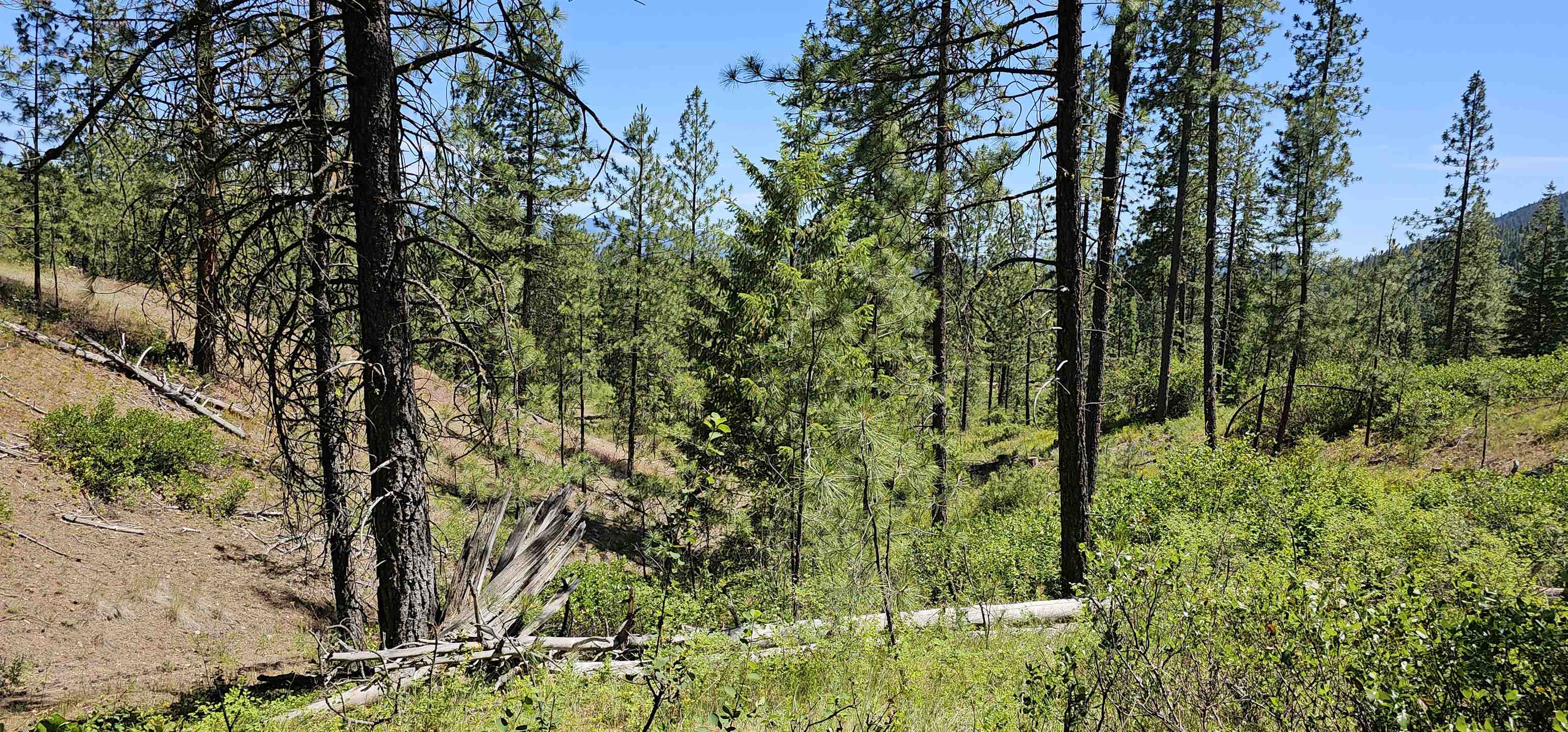 20X Lynx Rd - Photo 15
