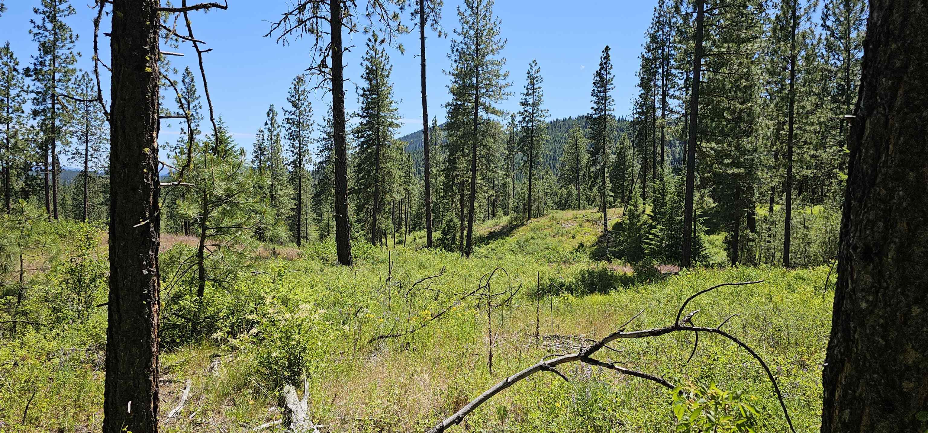 20X Lynx Rd - Photo 16