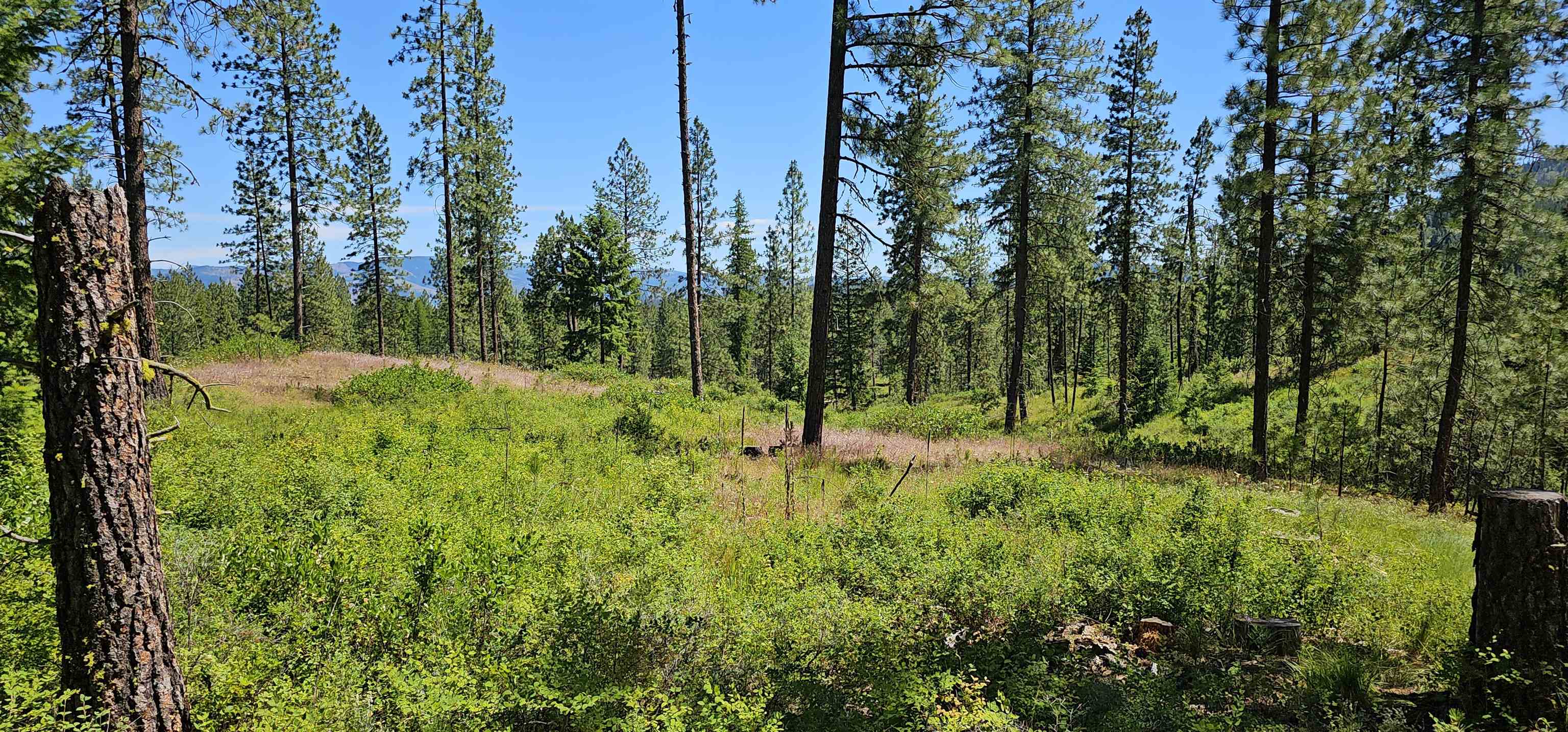 20X Lynx Rd - Photo 17
