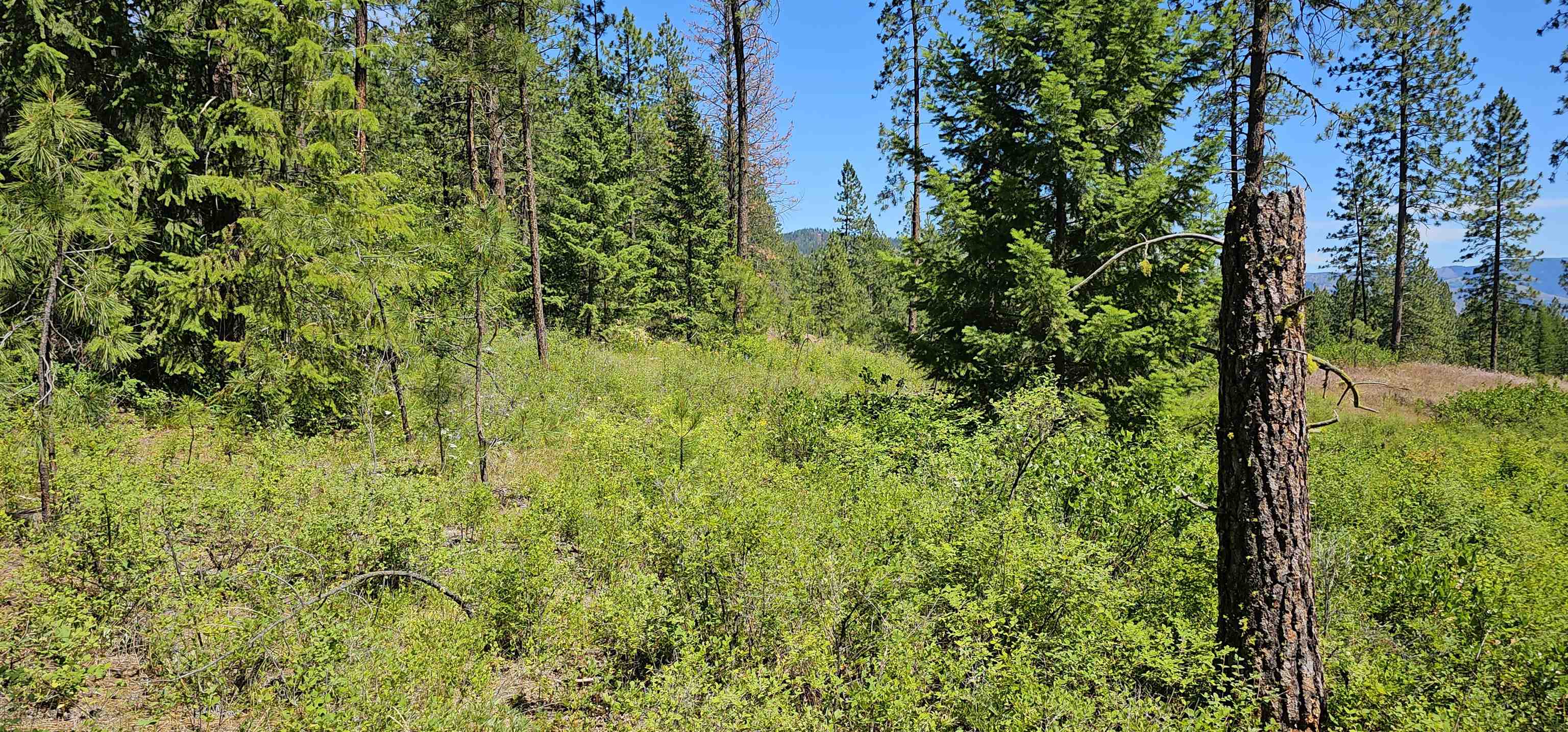 20X Lynx Rd - Photo 18