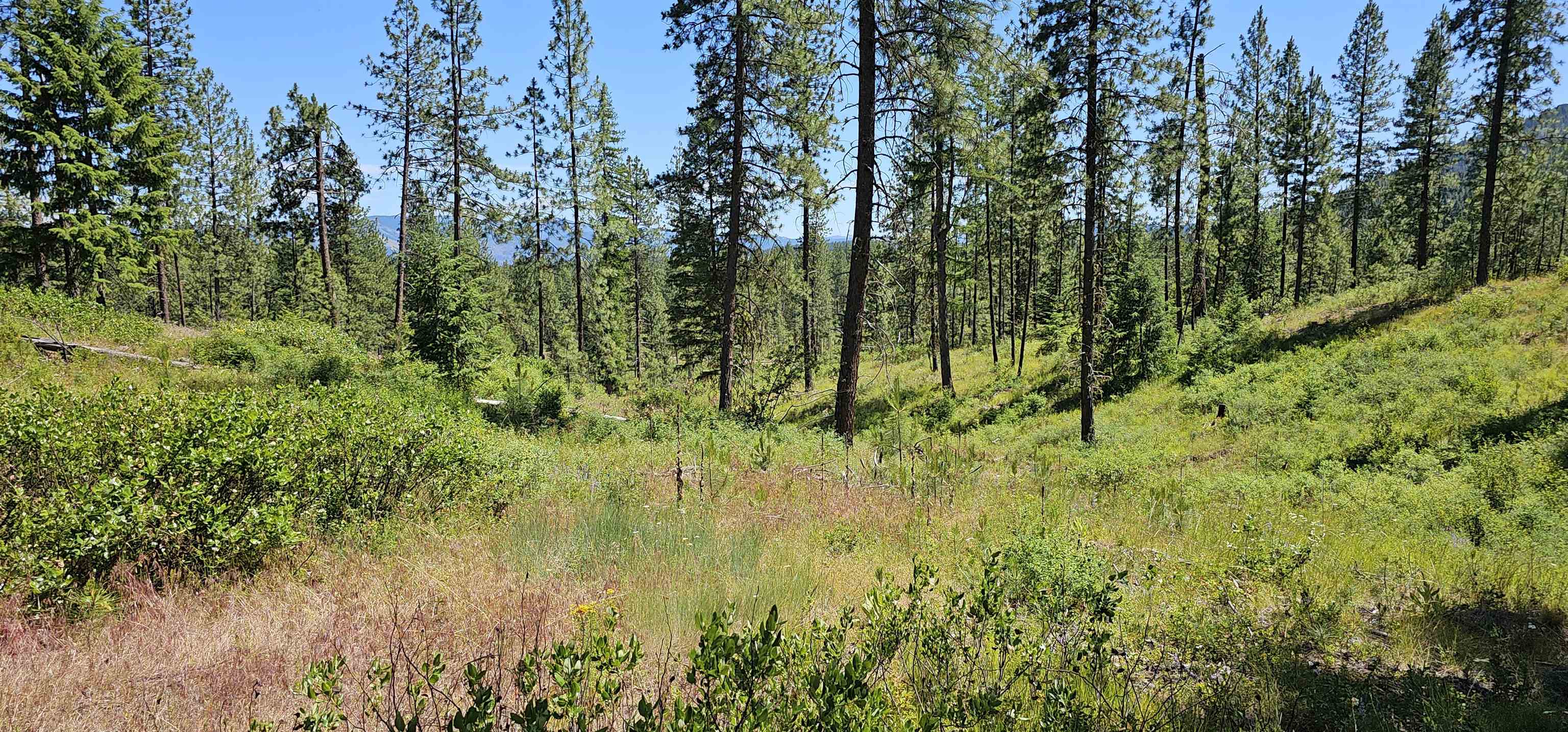 20X Lynx Rd - Photo 19