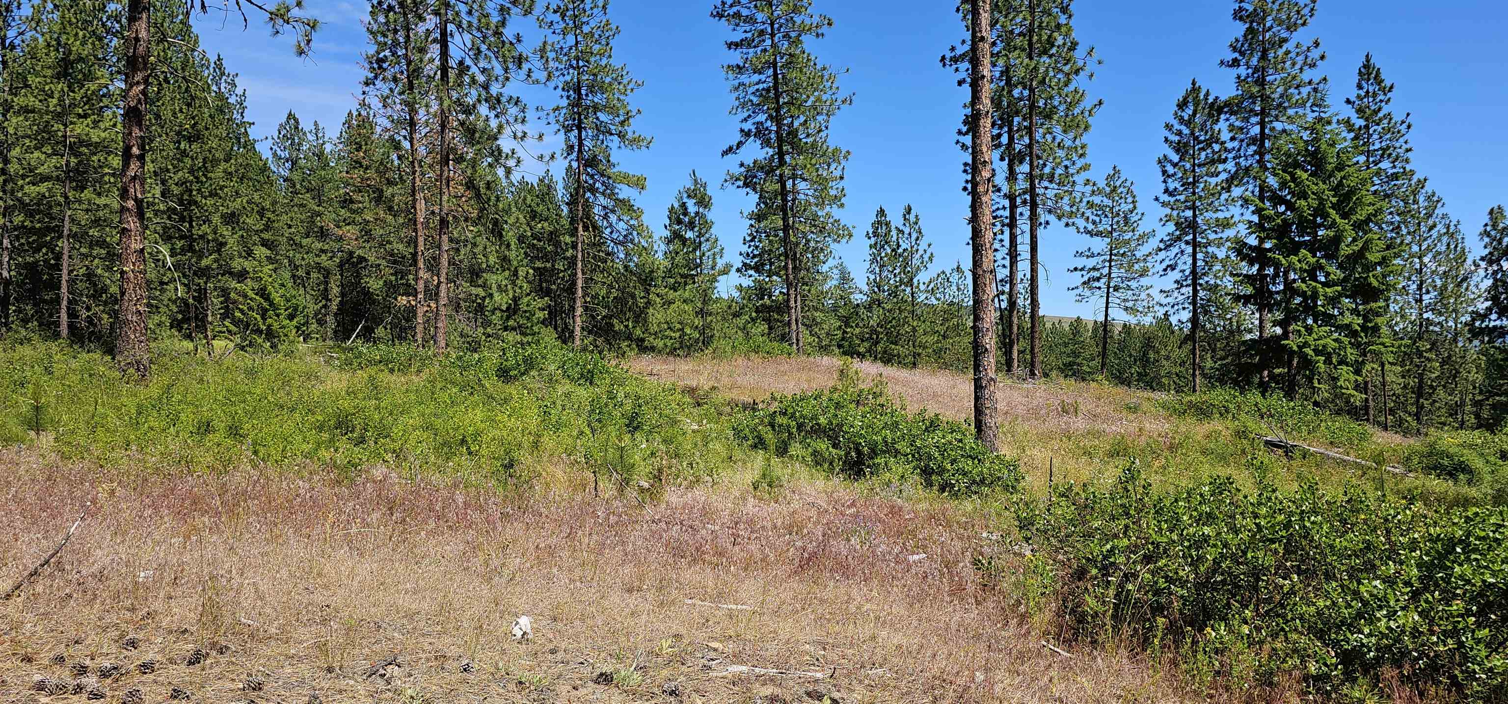 20X Lynx Rd - Photo 20