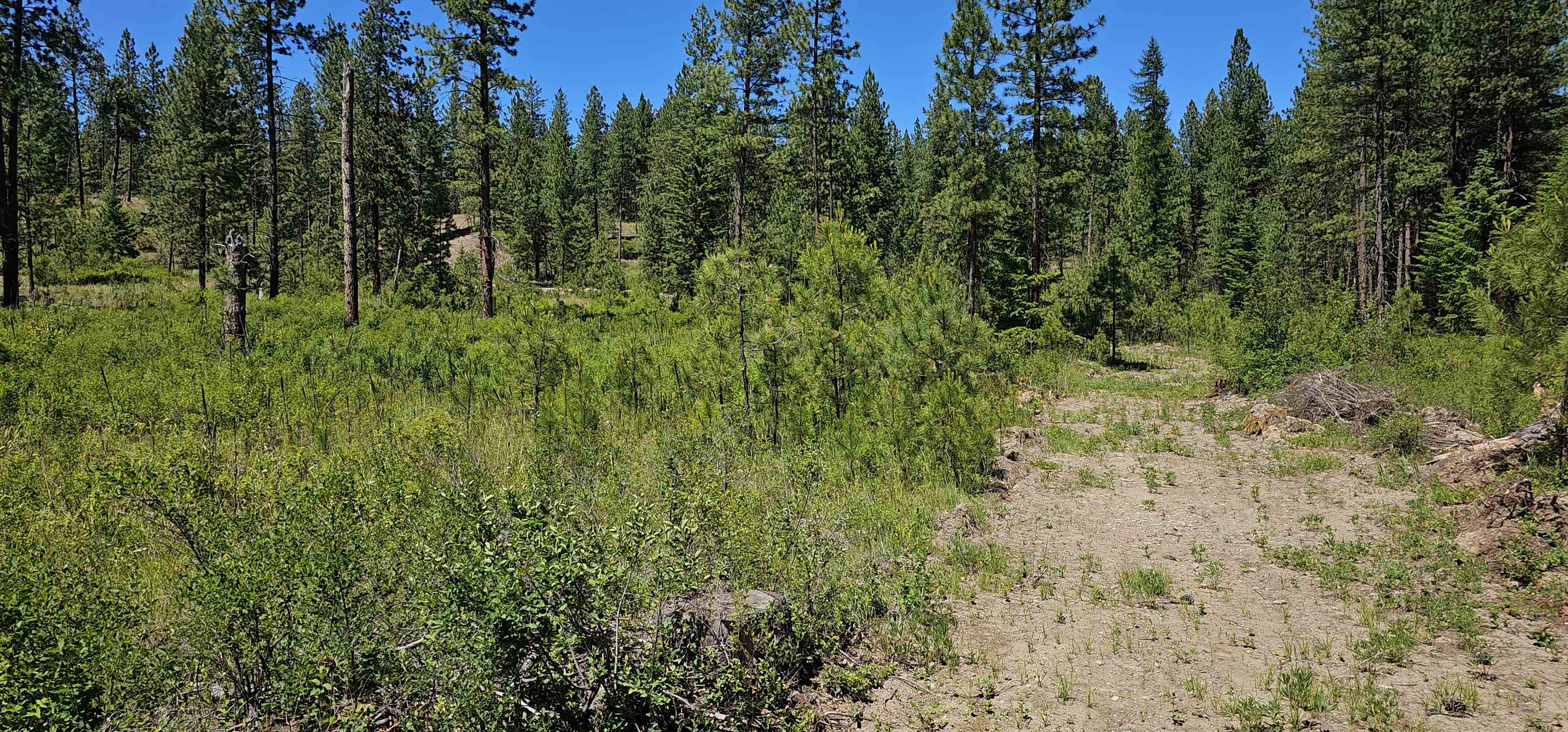 20X Lynx Rd - Photo 3