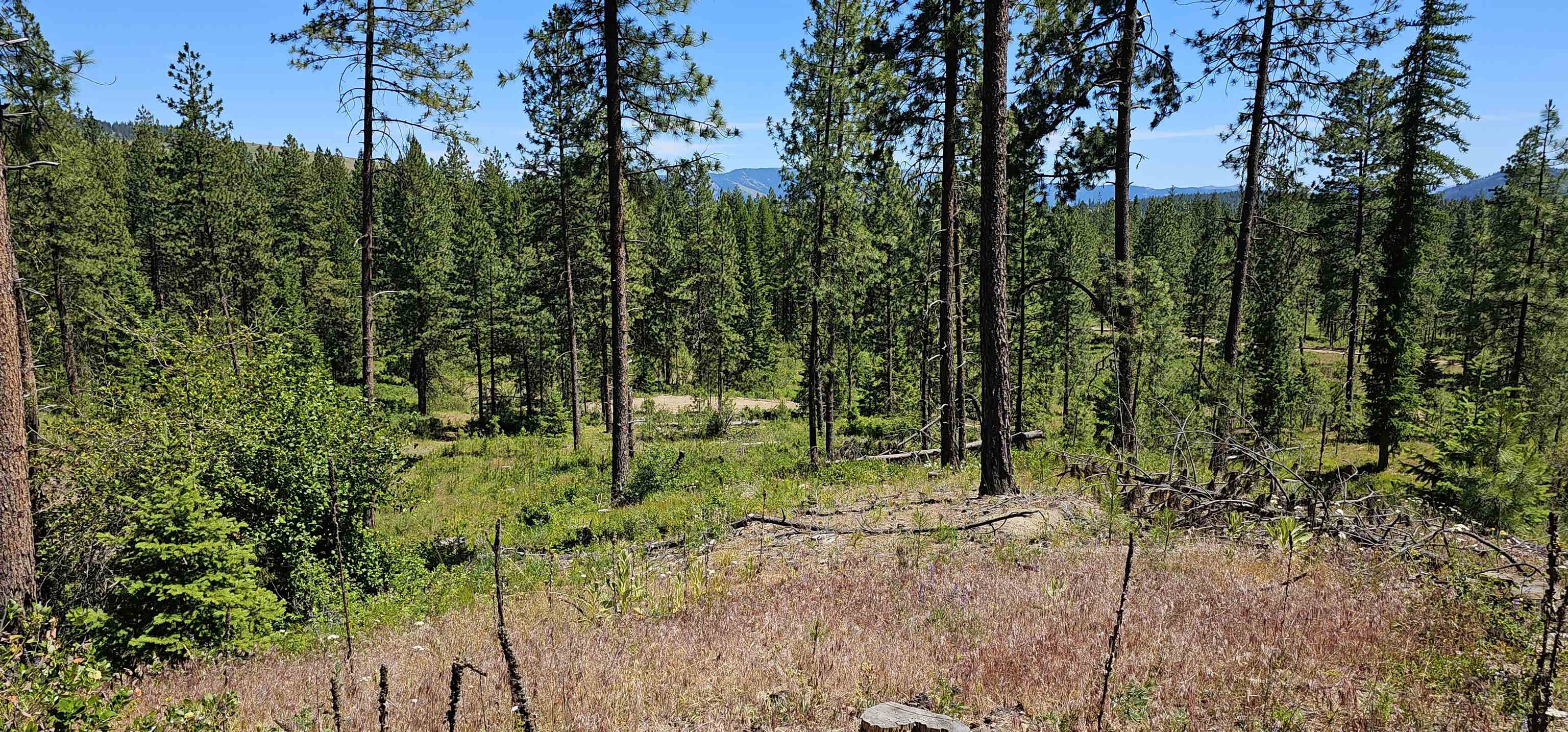 20X Lynx Rd - Photo 21