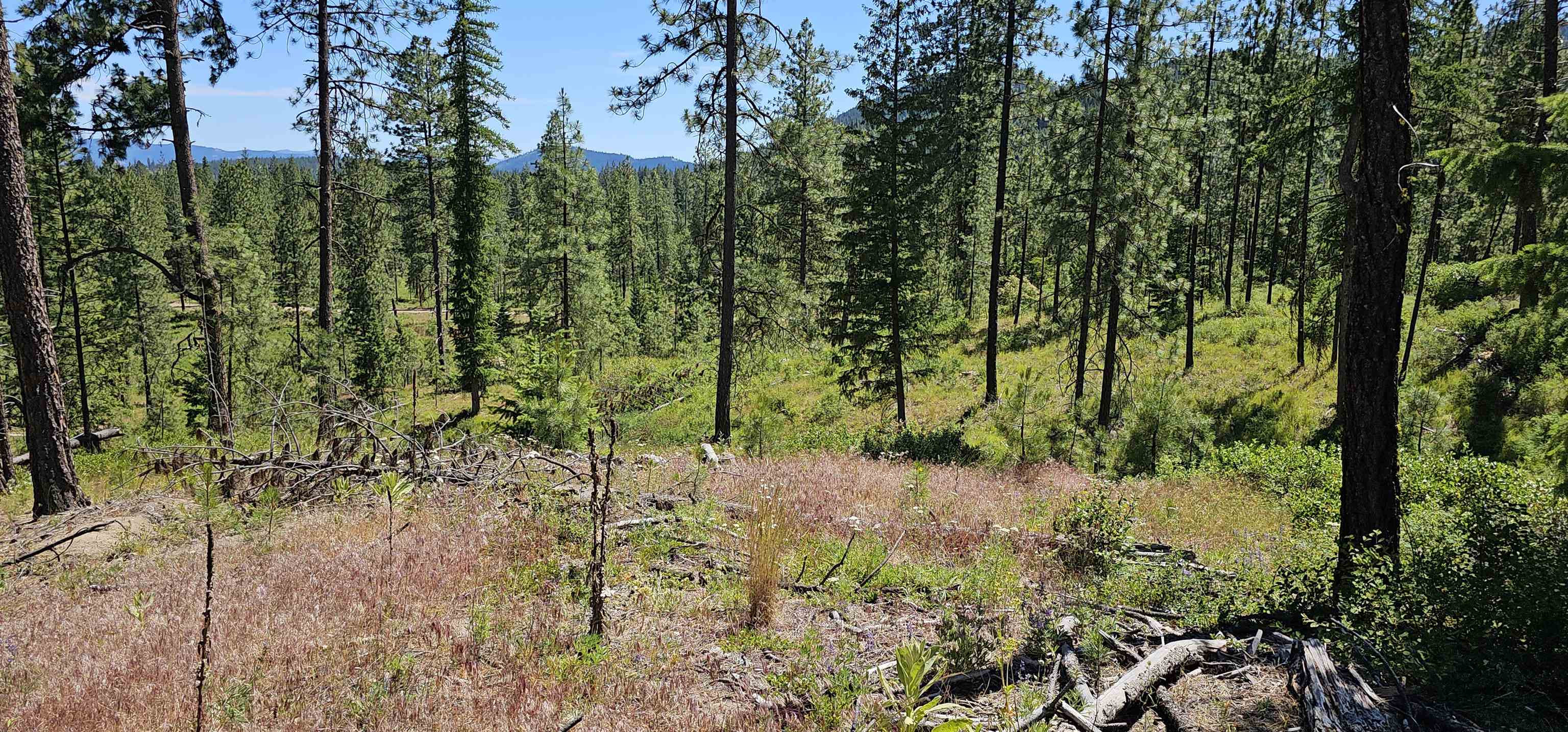 20X Lynx Rd - Photo 22